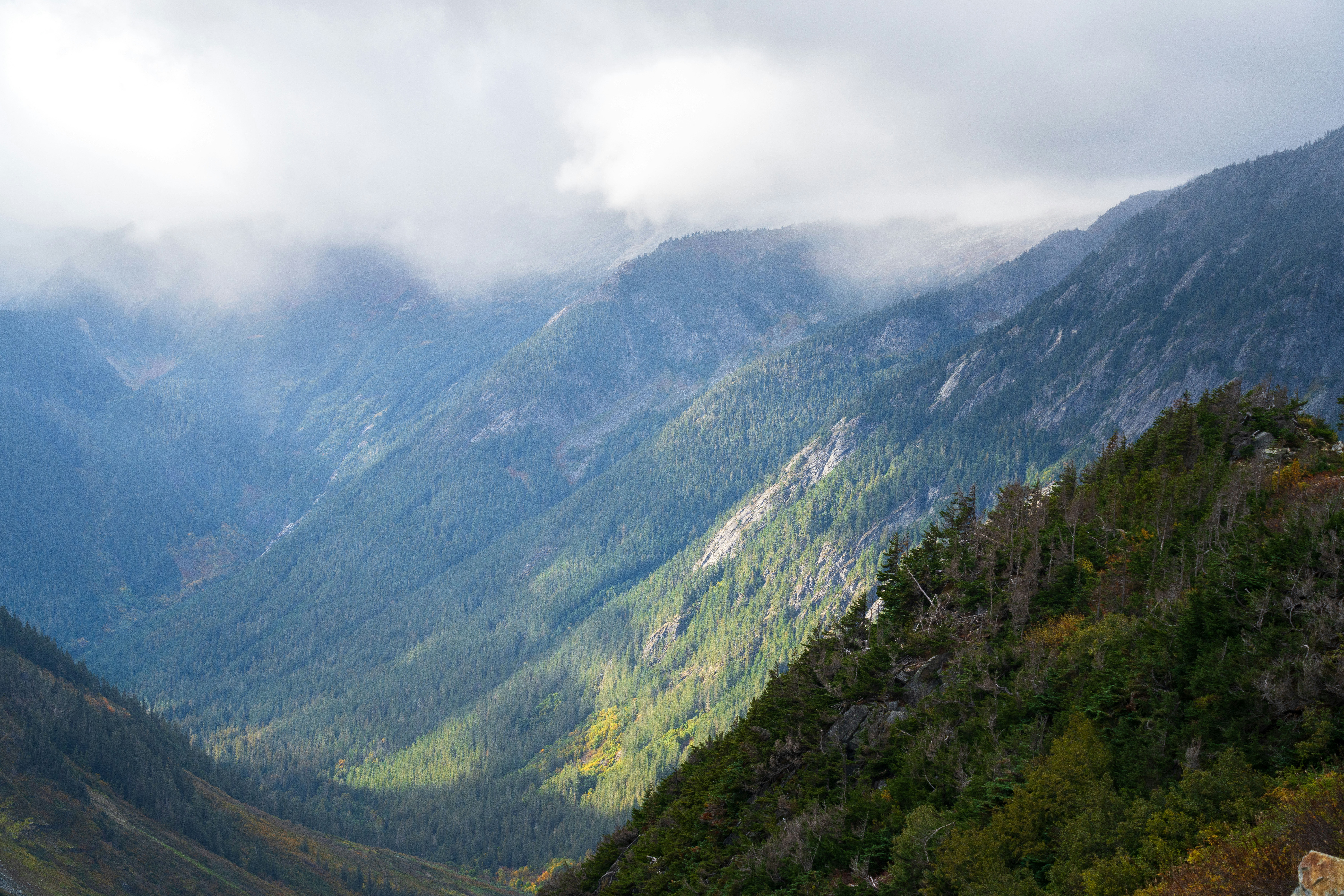 Photo by alexmoliski