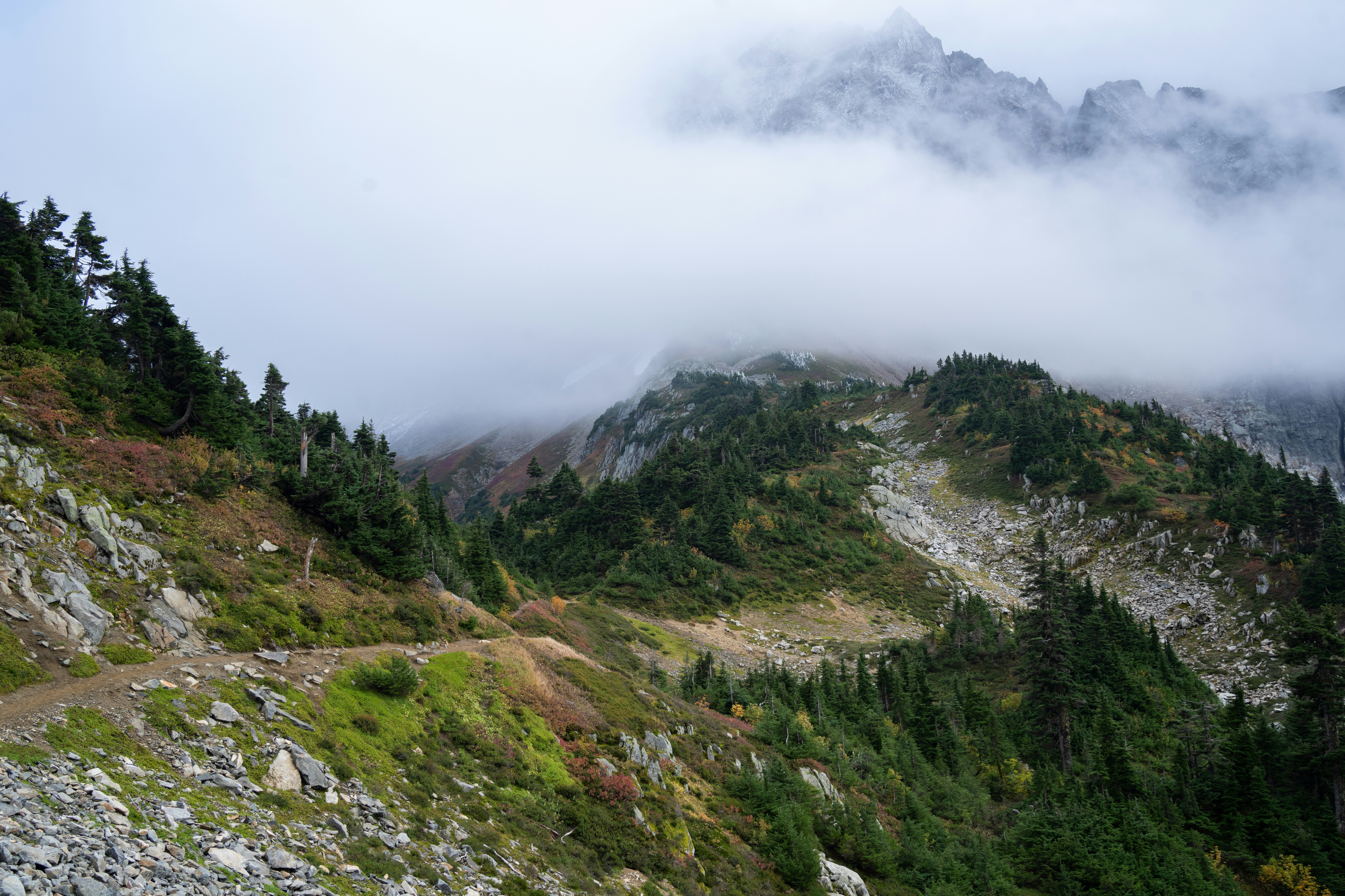 Photo by alexmoliski