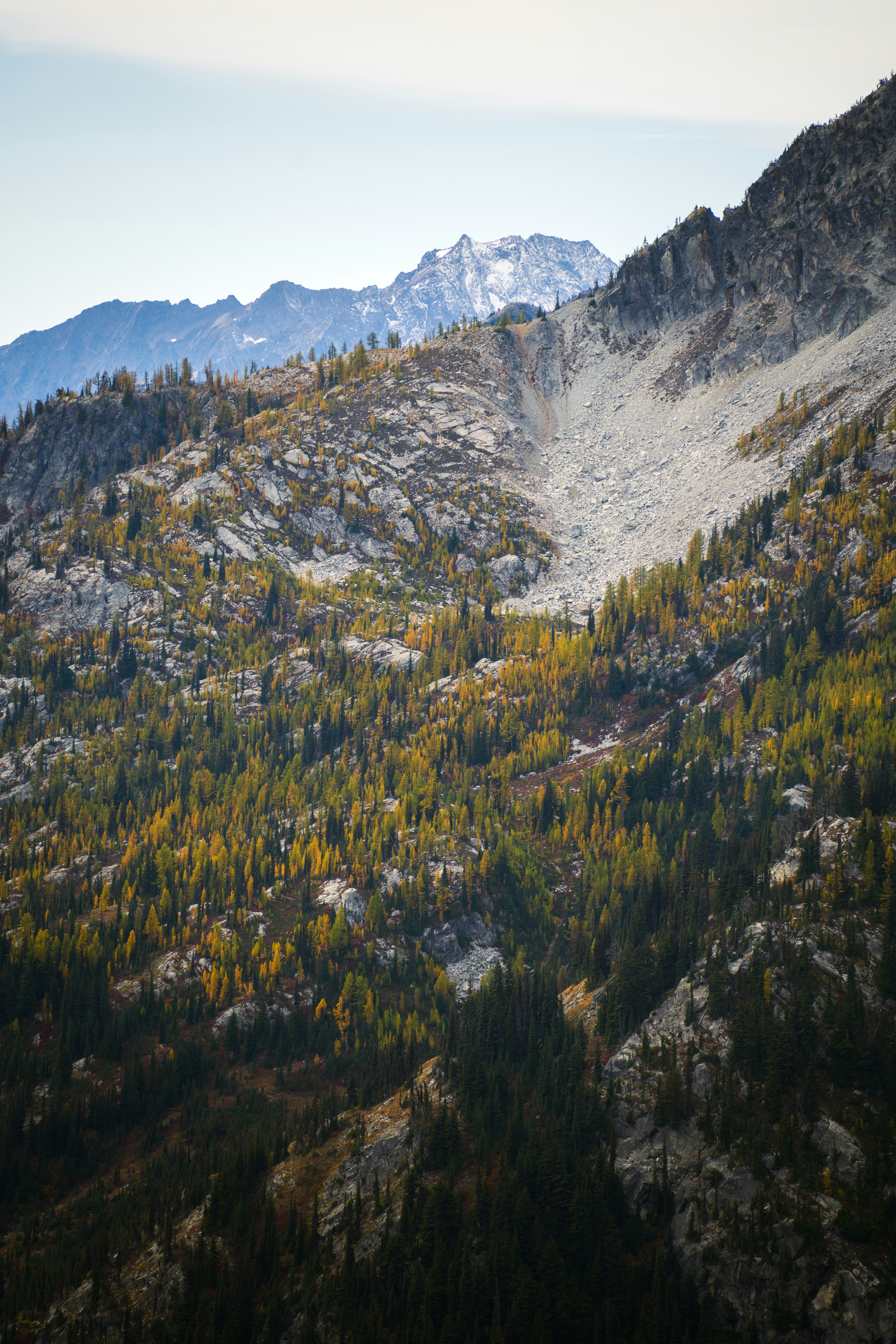 Photo by alexmoliski