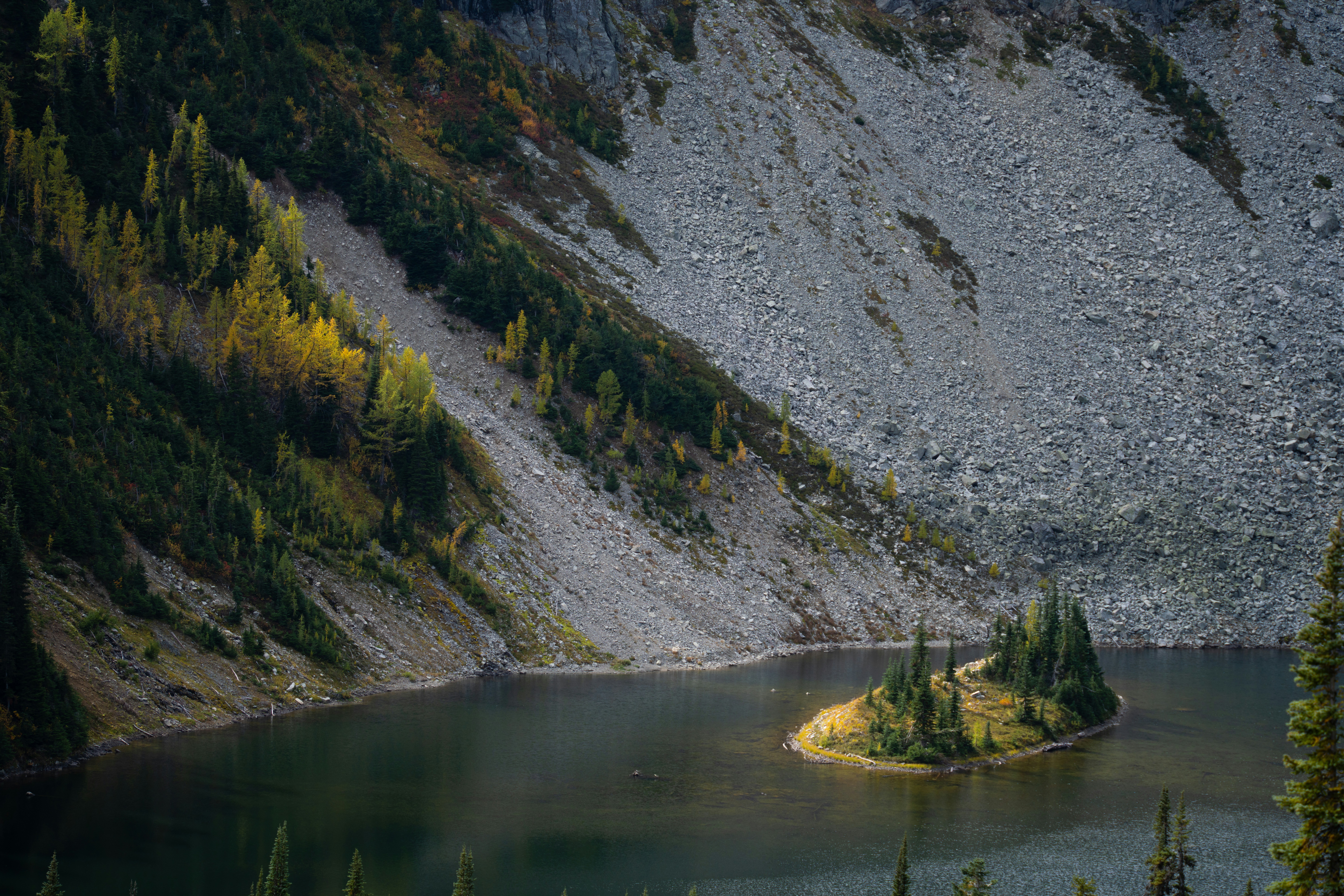 Photo by alexmoliski