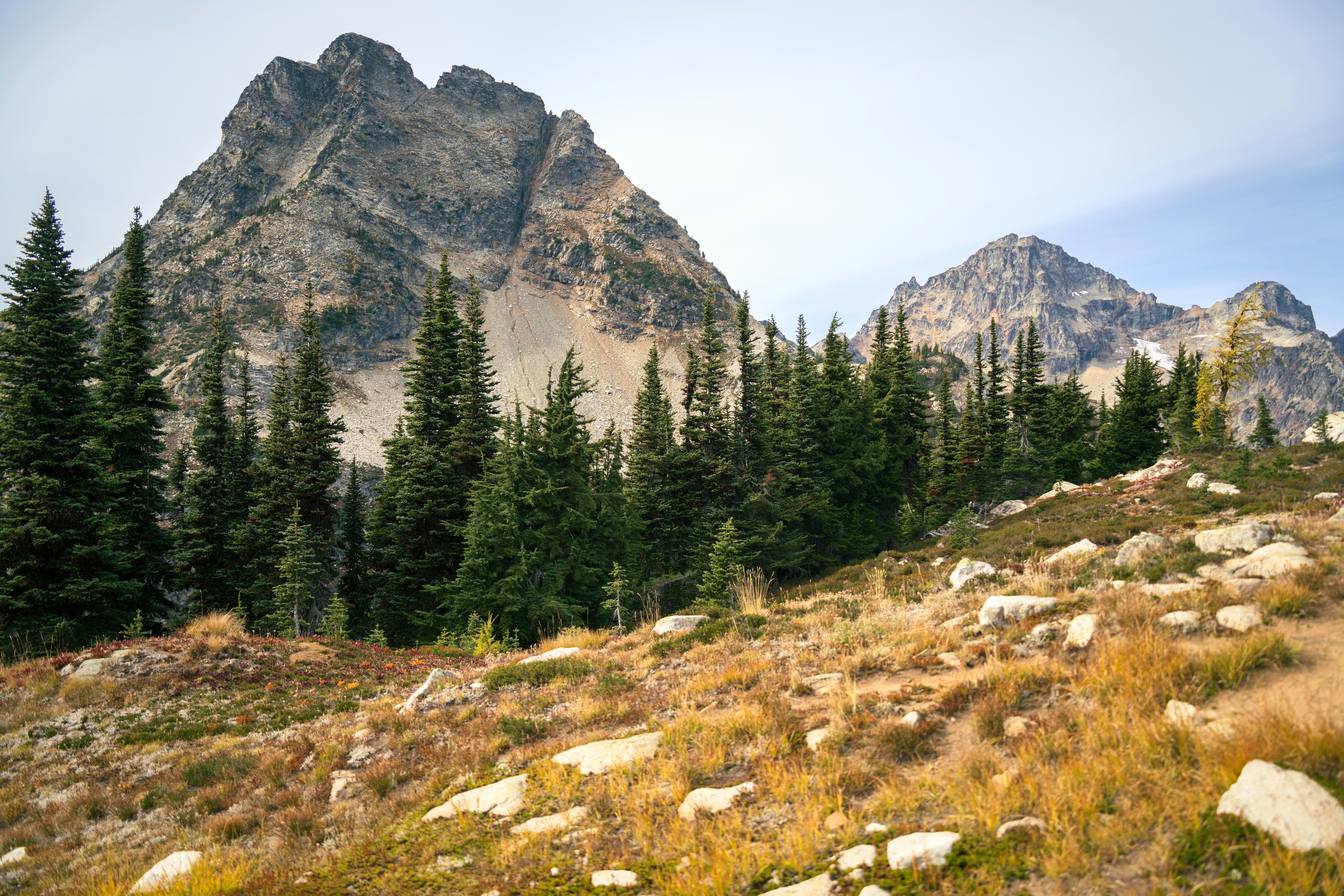 Photo by alexmoliski