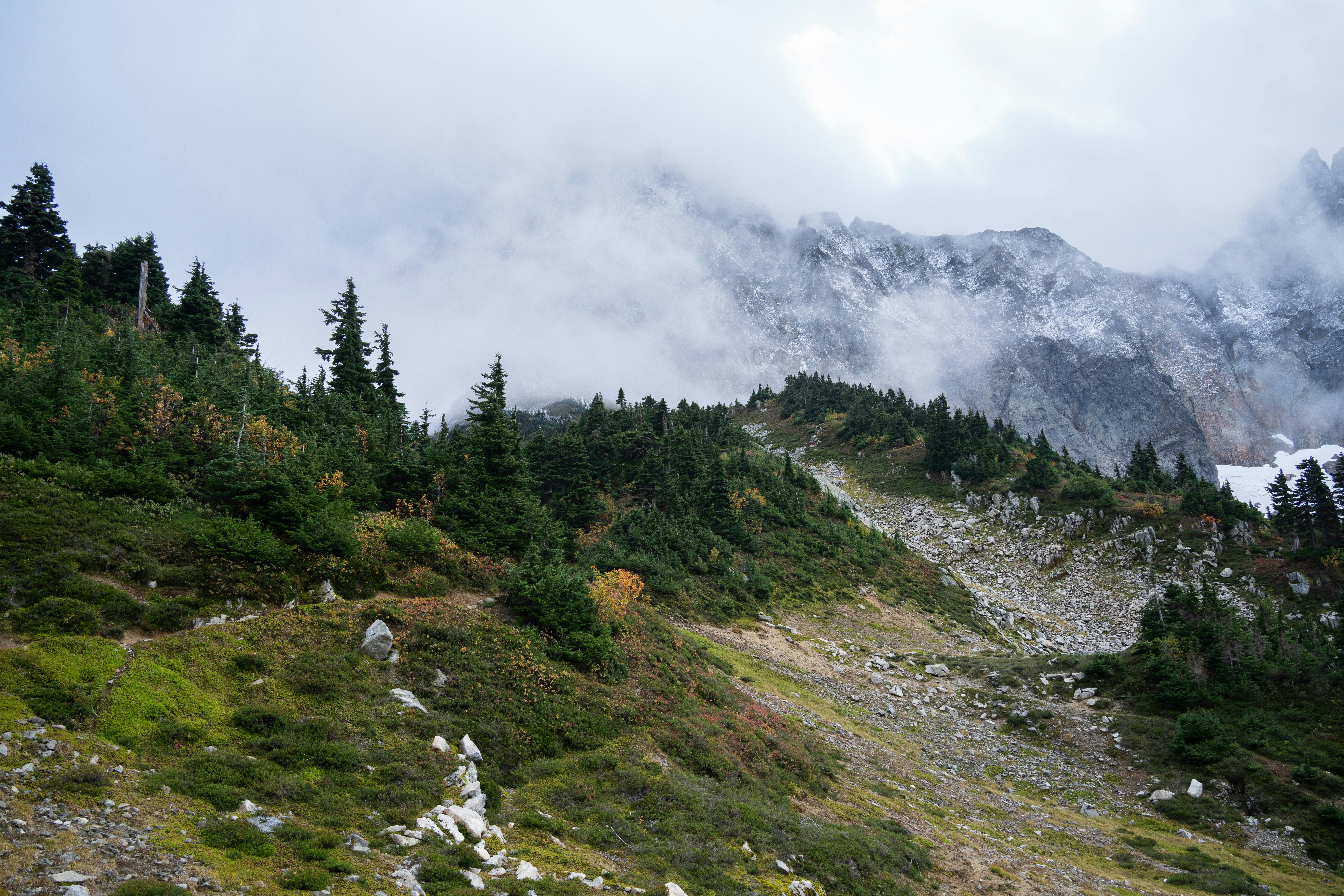 Photo by alexmoliski