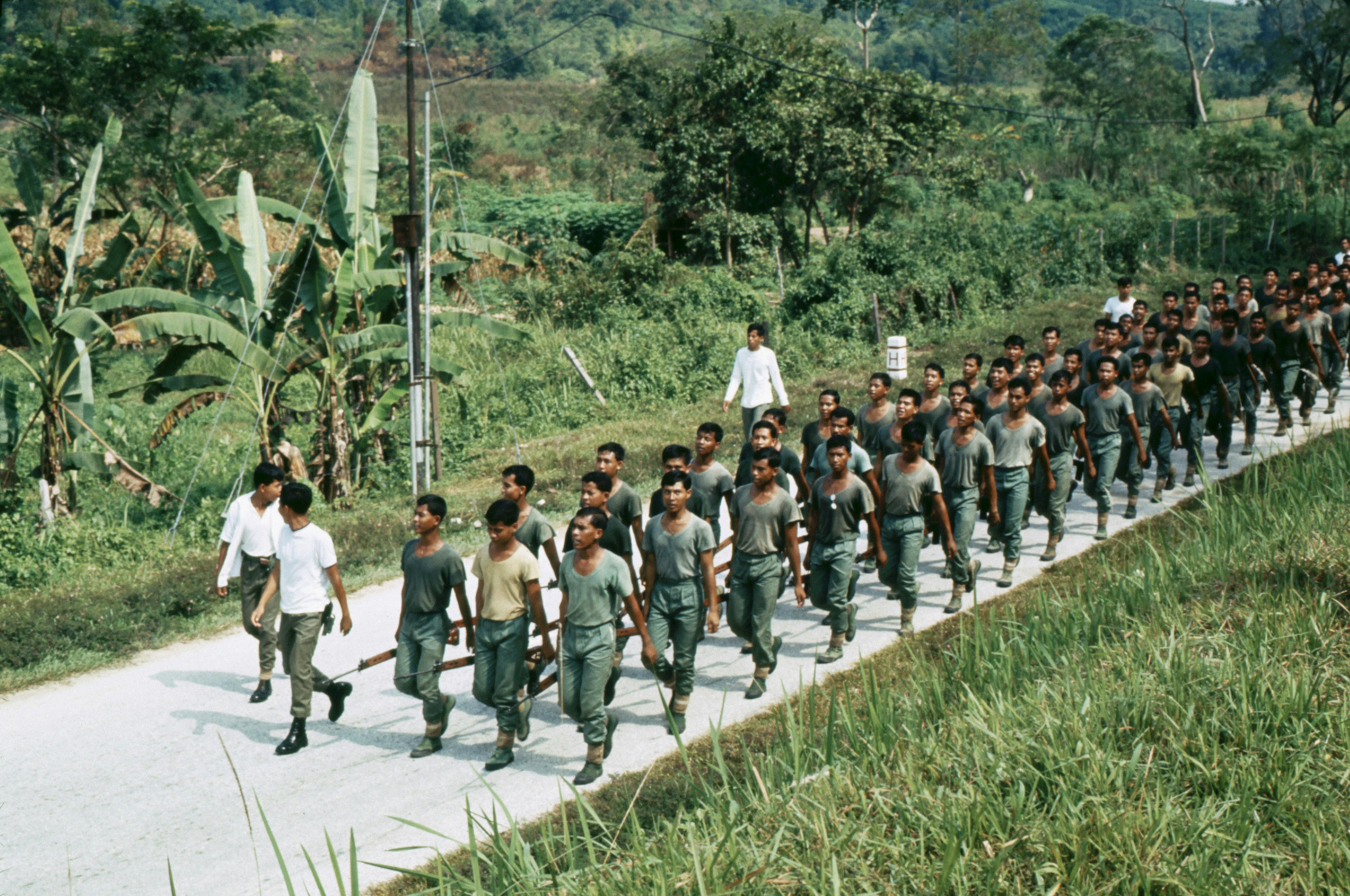 Soldados marchando por uma estrada rural com vegetação exuberante.