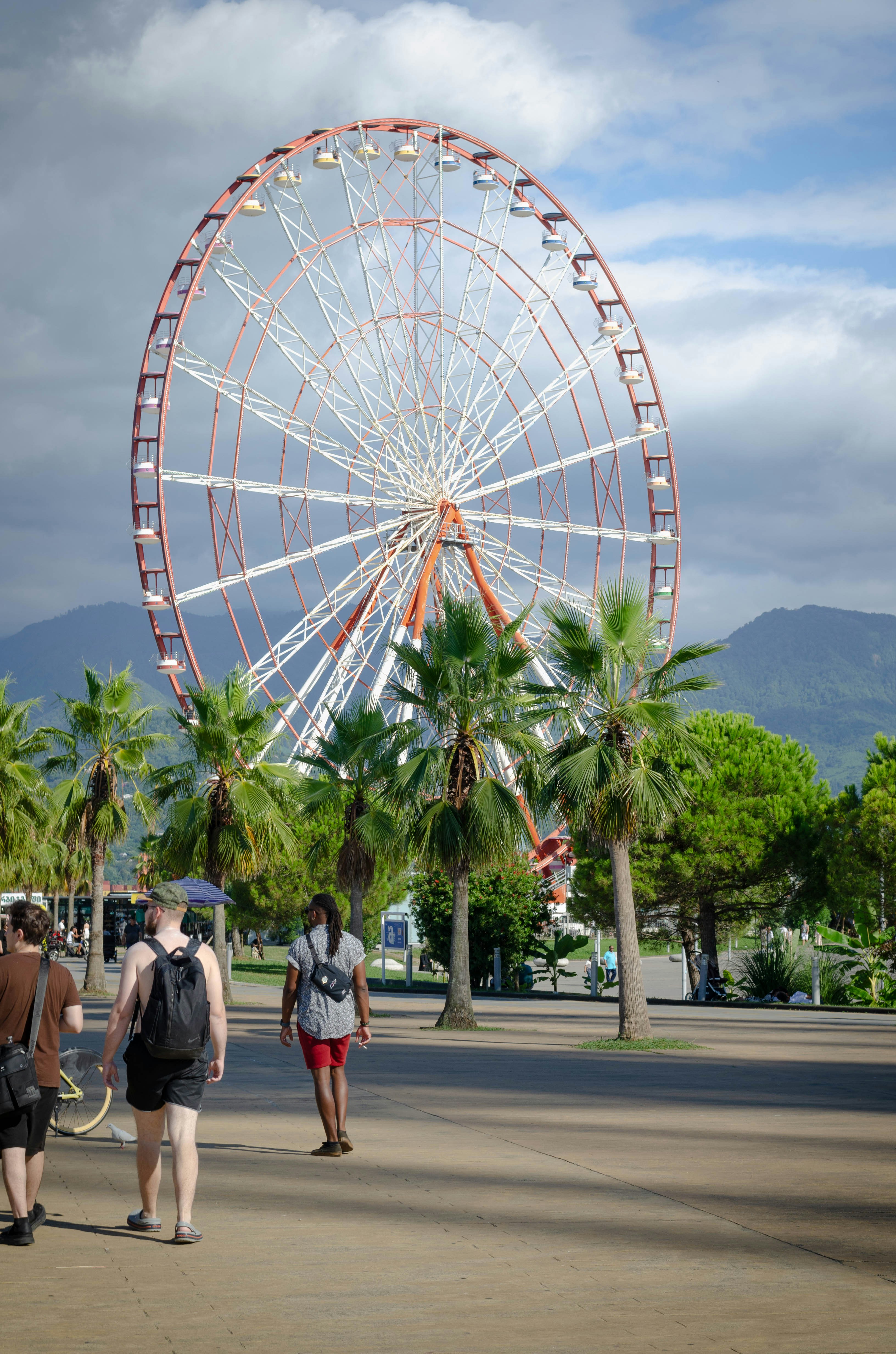 A ferris wheel in the middle of a park