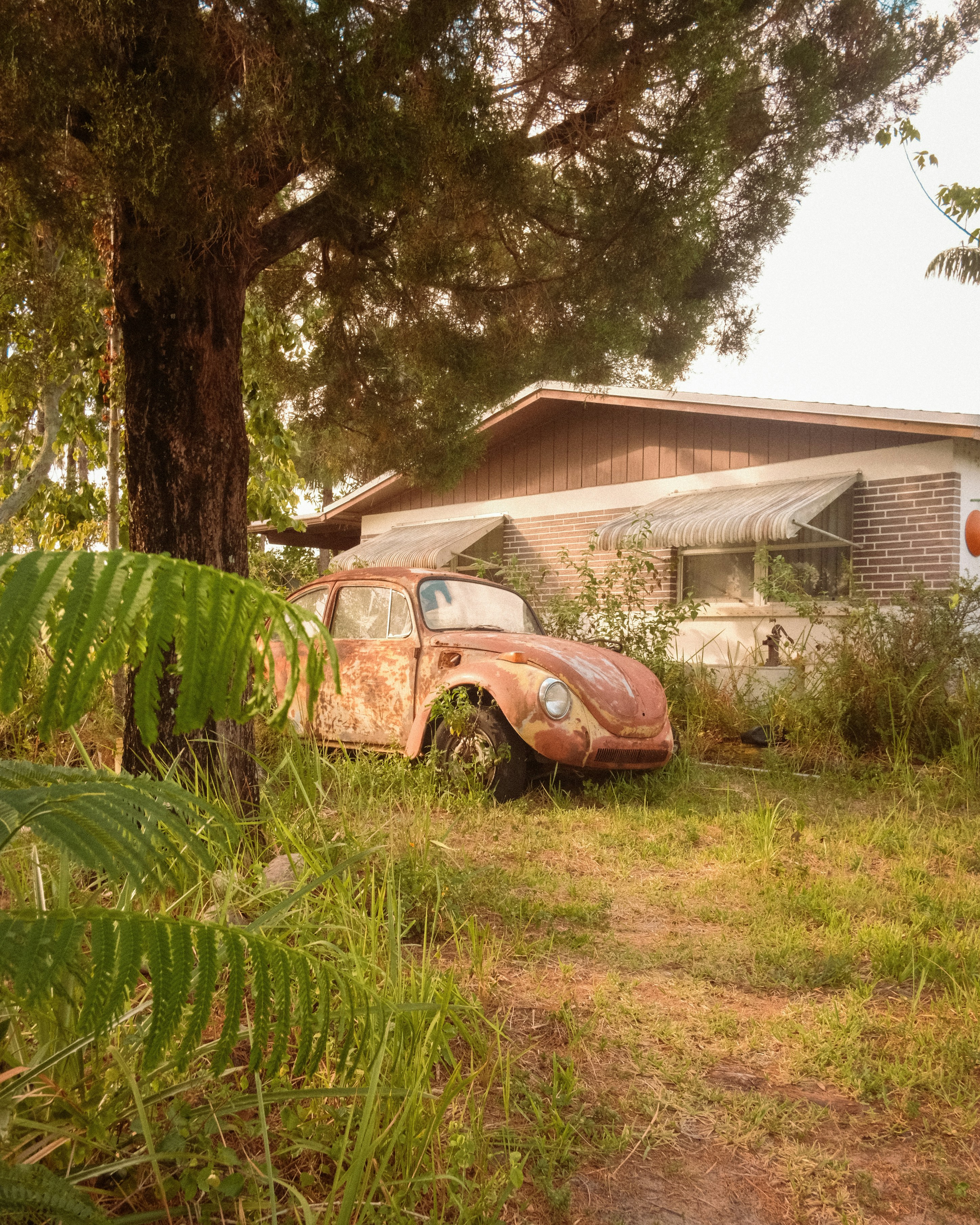 A rusted out car sitting in the grass next to a house