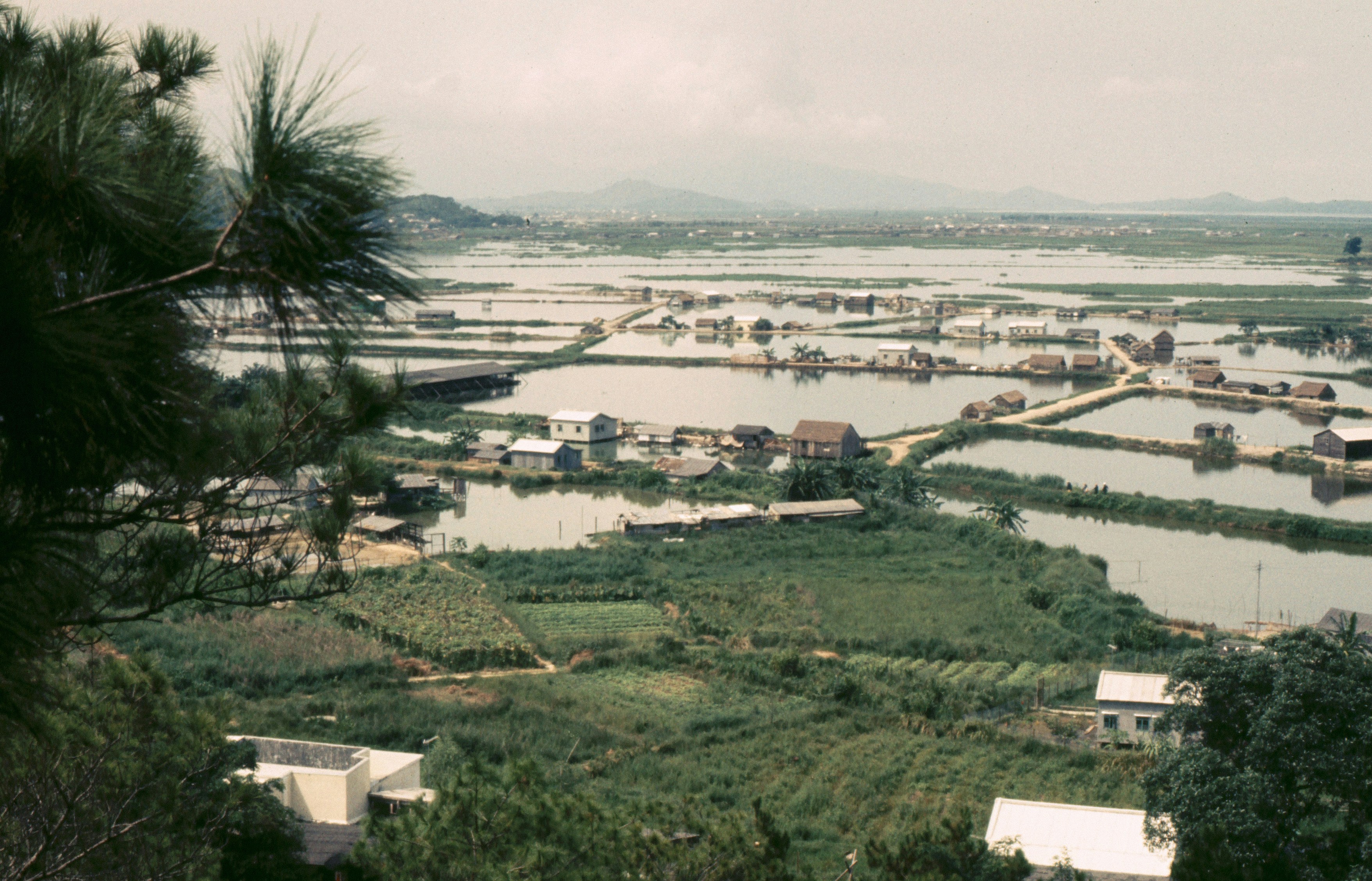 New Territories by UC Berkeley, Department of Geography