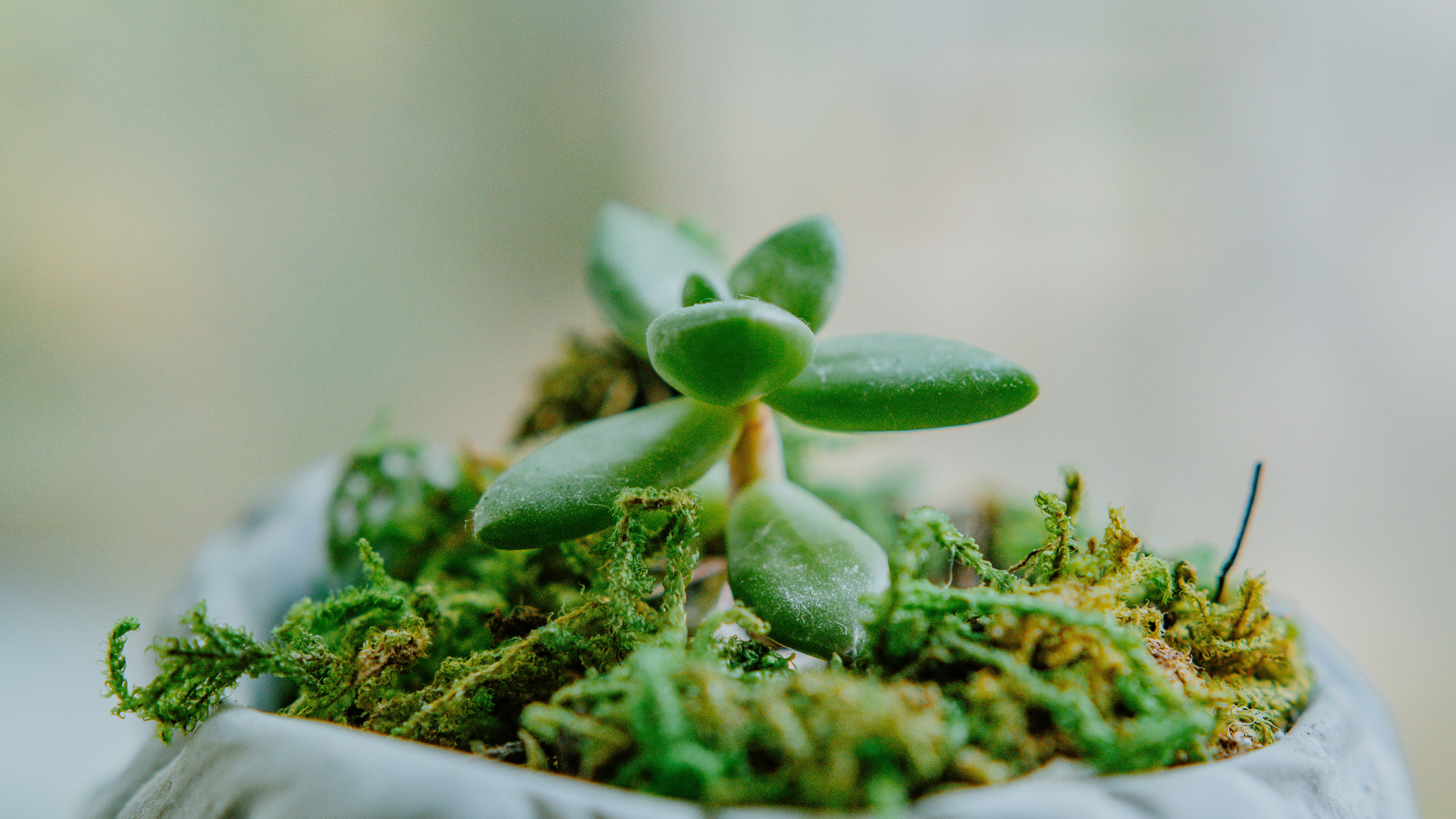 Photo by joseph_royer