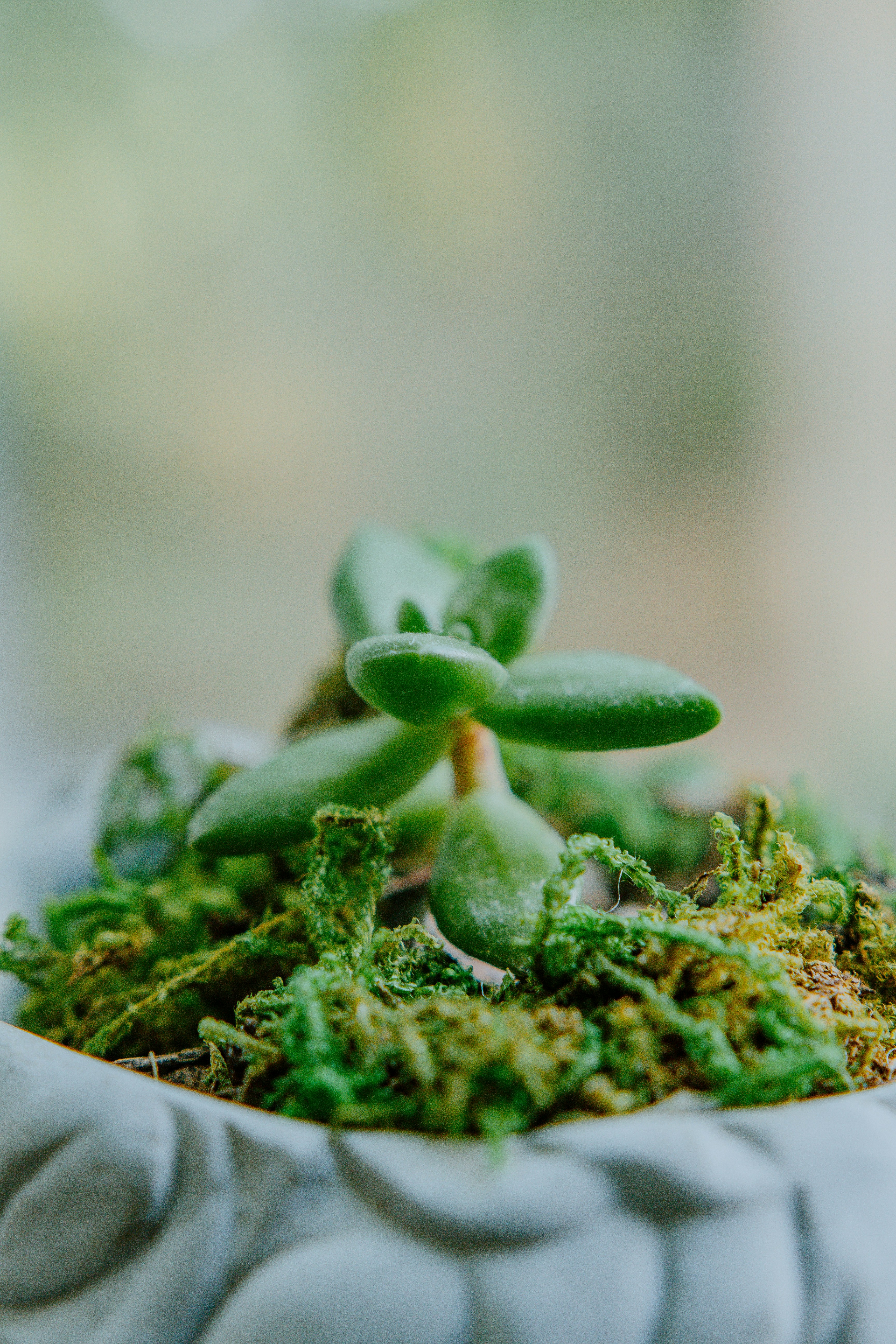 Photo by joseph_royer