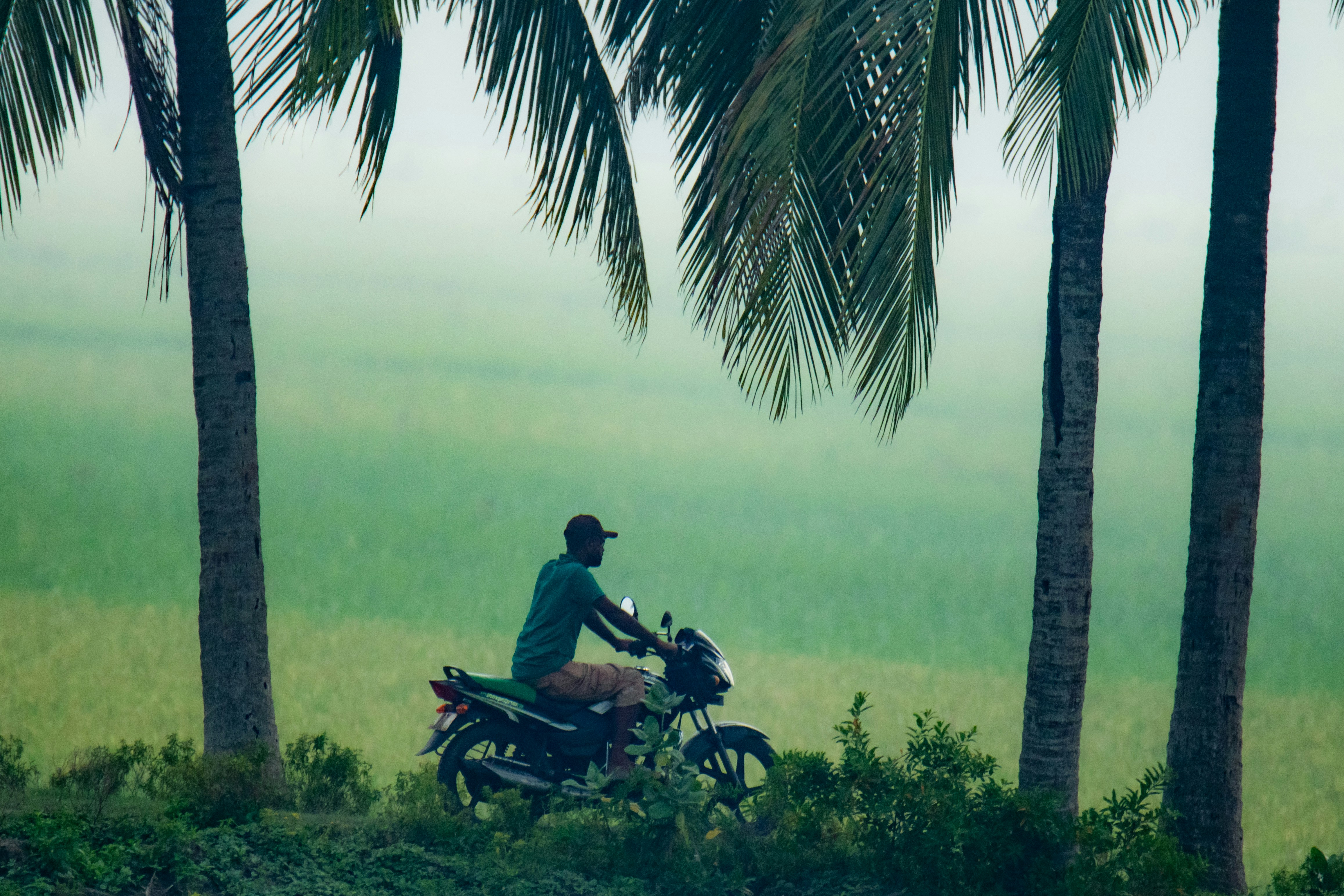 A man riding a motorcycle down a lush green hillside
