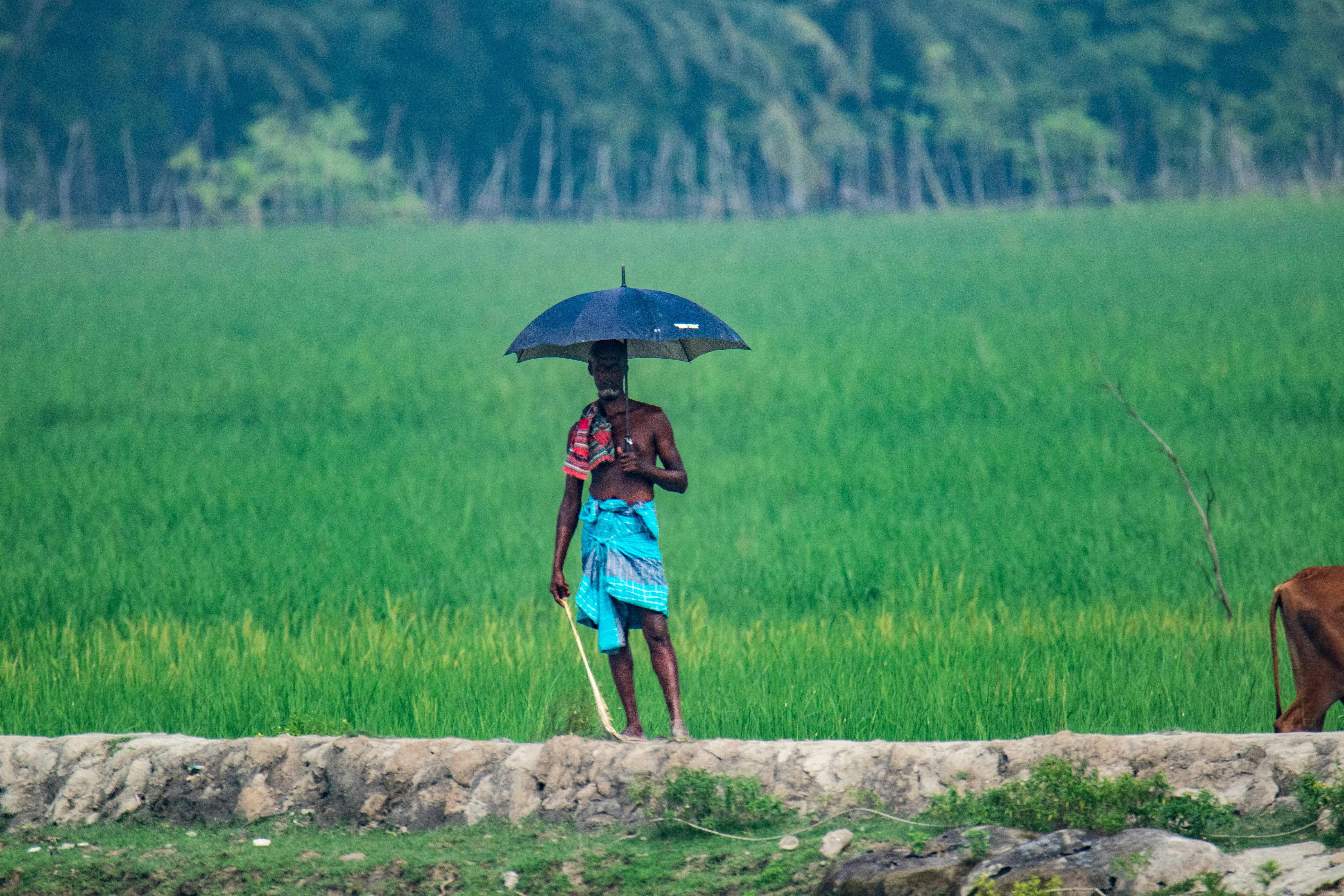 Photo by asadsnapper