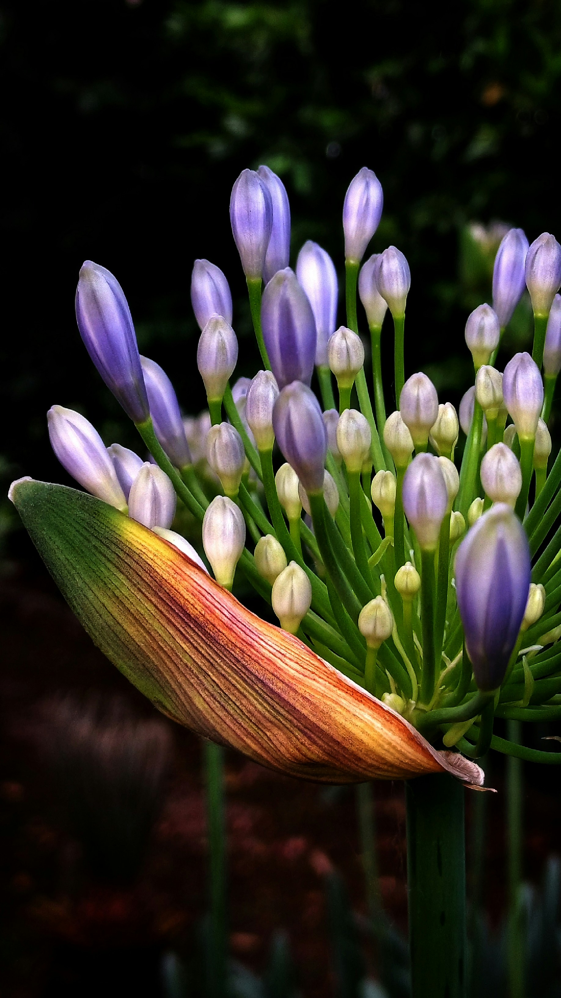 Photo by hosseinizadikh