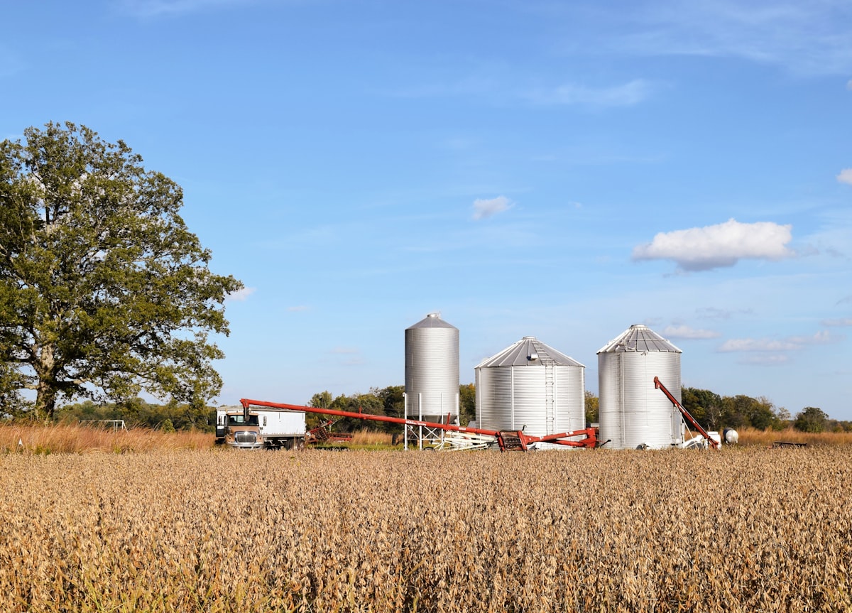 Grain bins standing in a harvested field under a blue sky