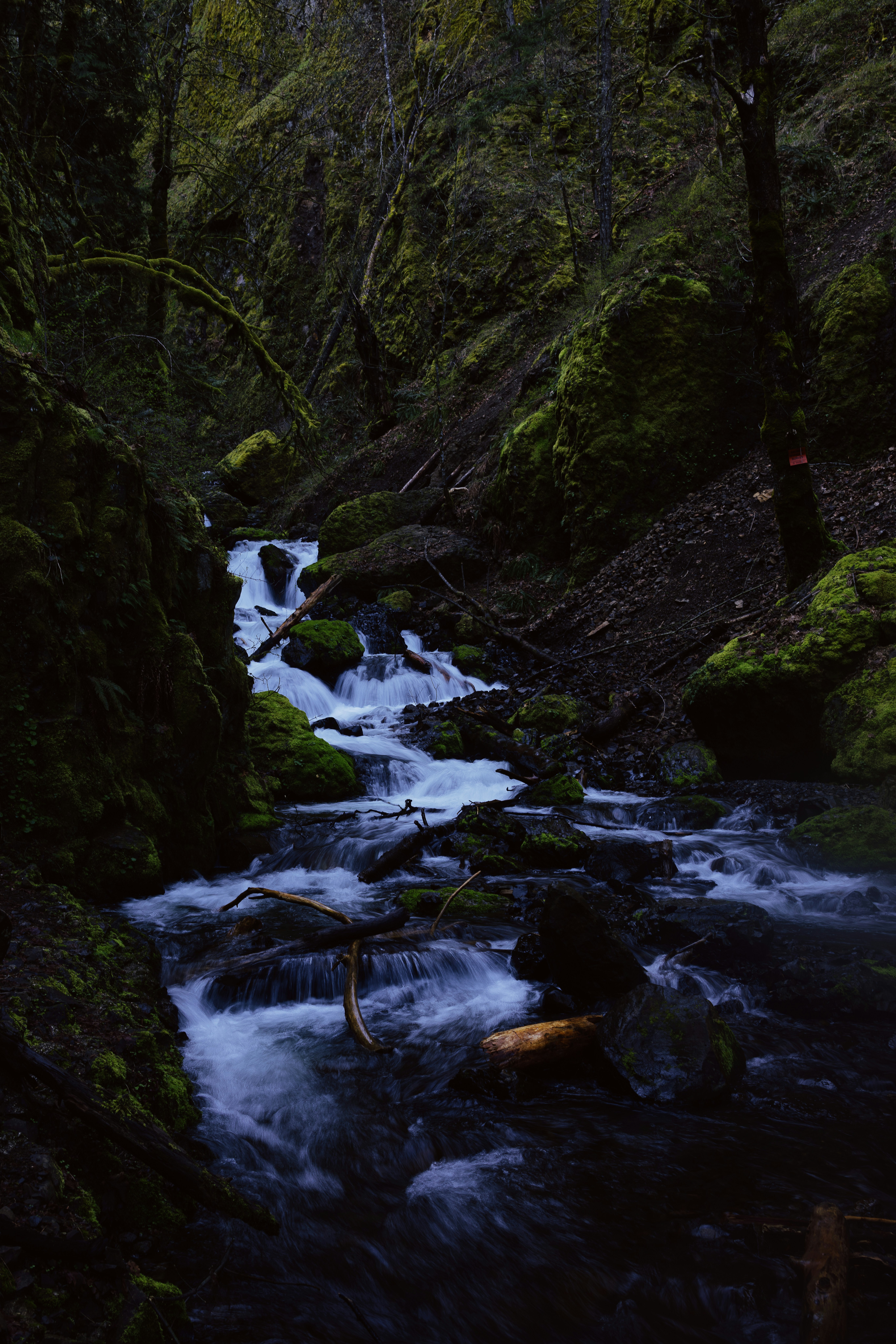 Photo by ericmuhr