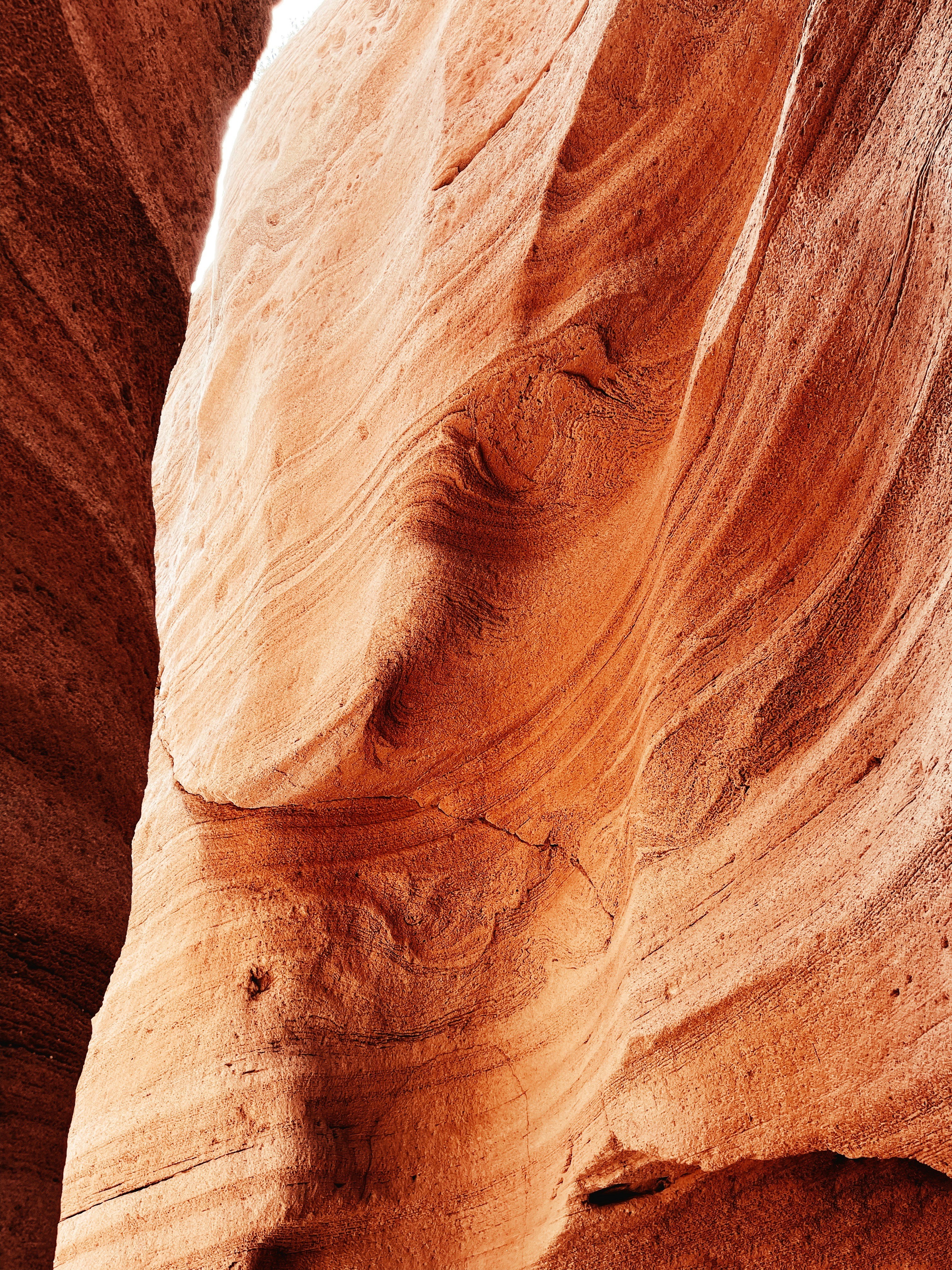 Ein veröffentlichtes Foto