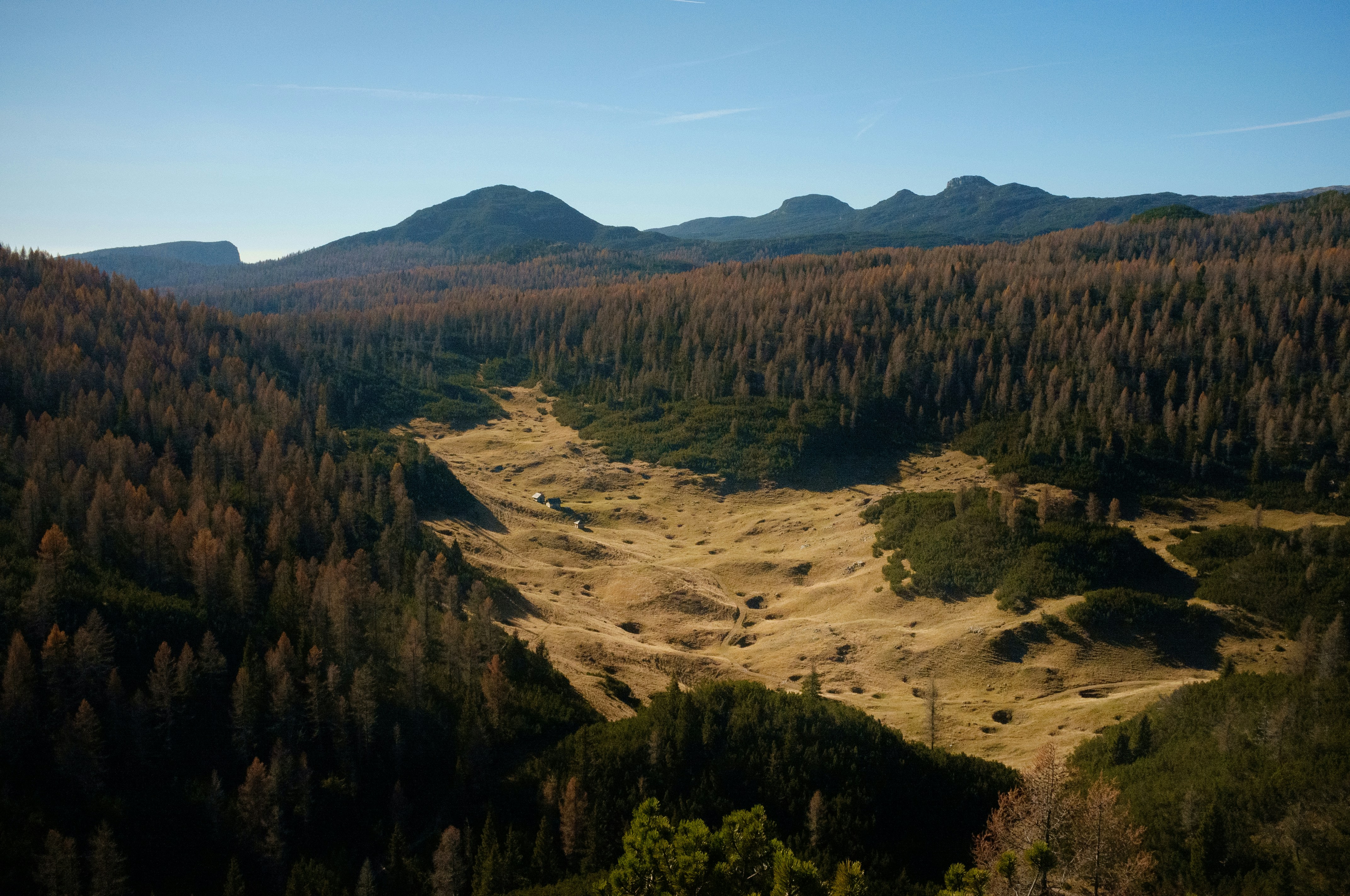An aerial view of a forest with mountains in the background