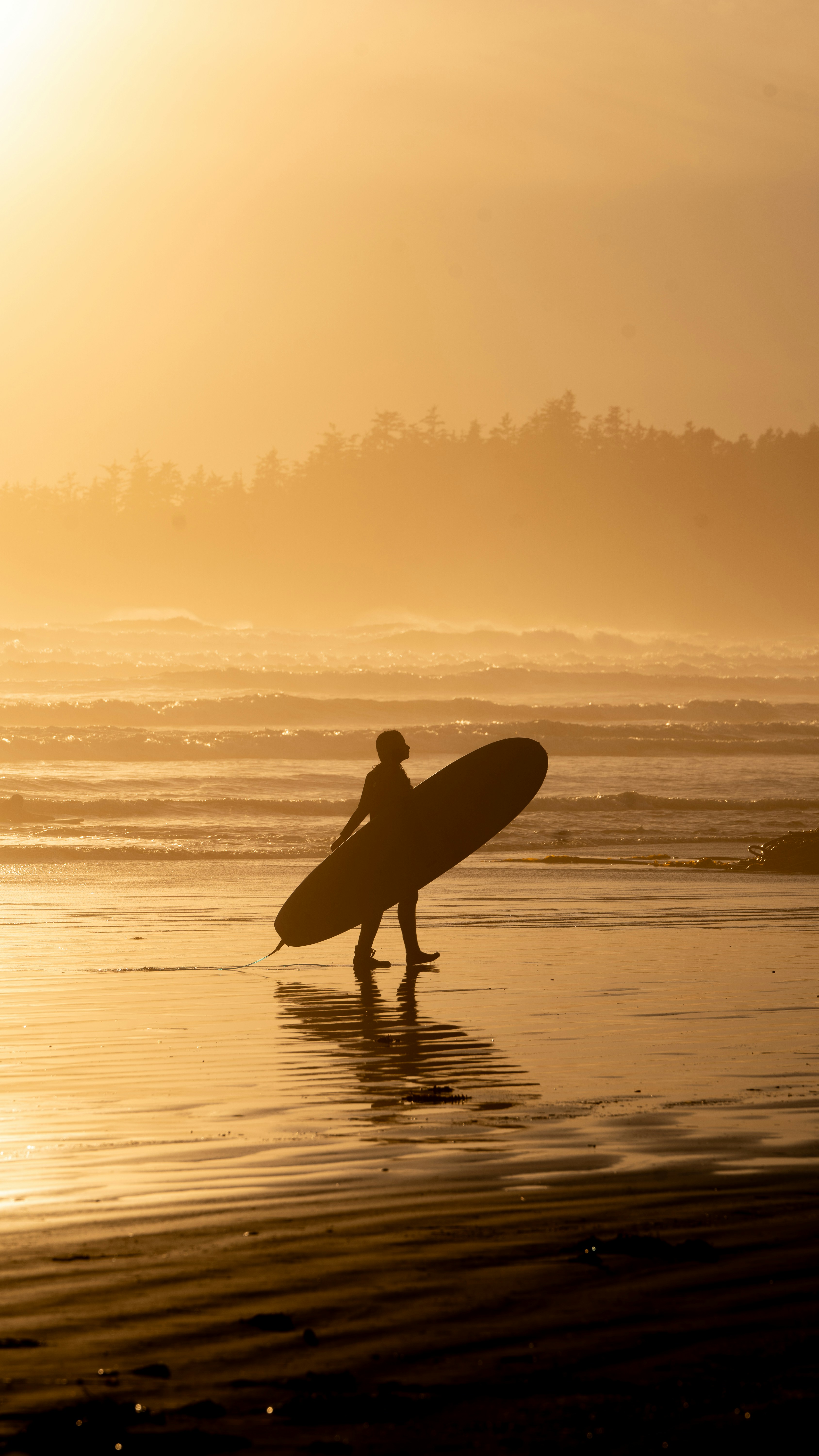 Photo by kayvanmazhar