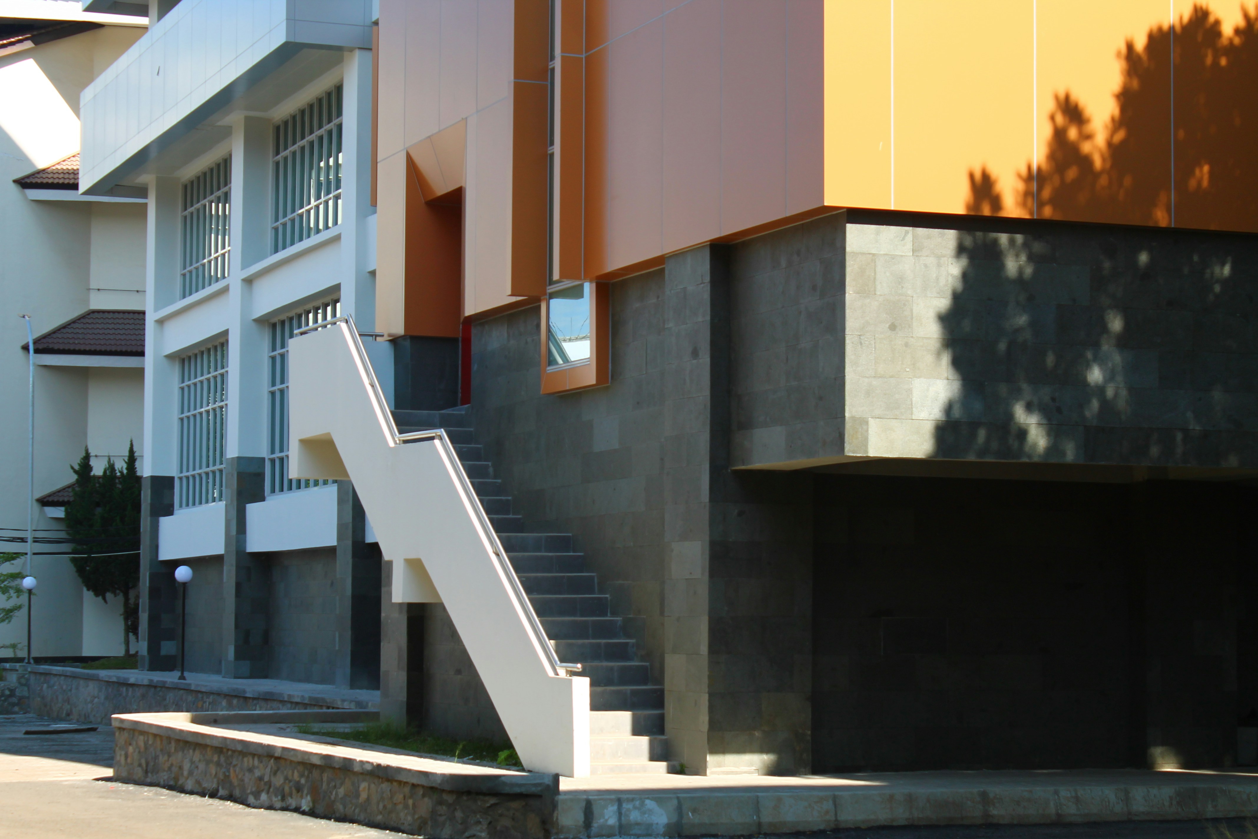 Person riding skateboard on city street