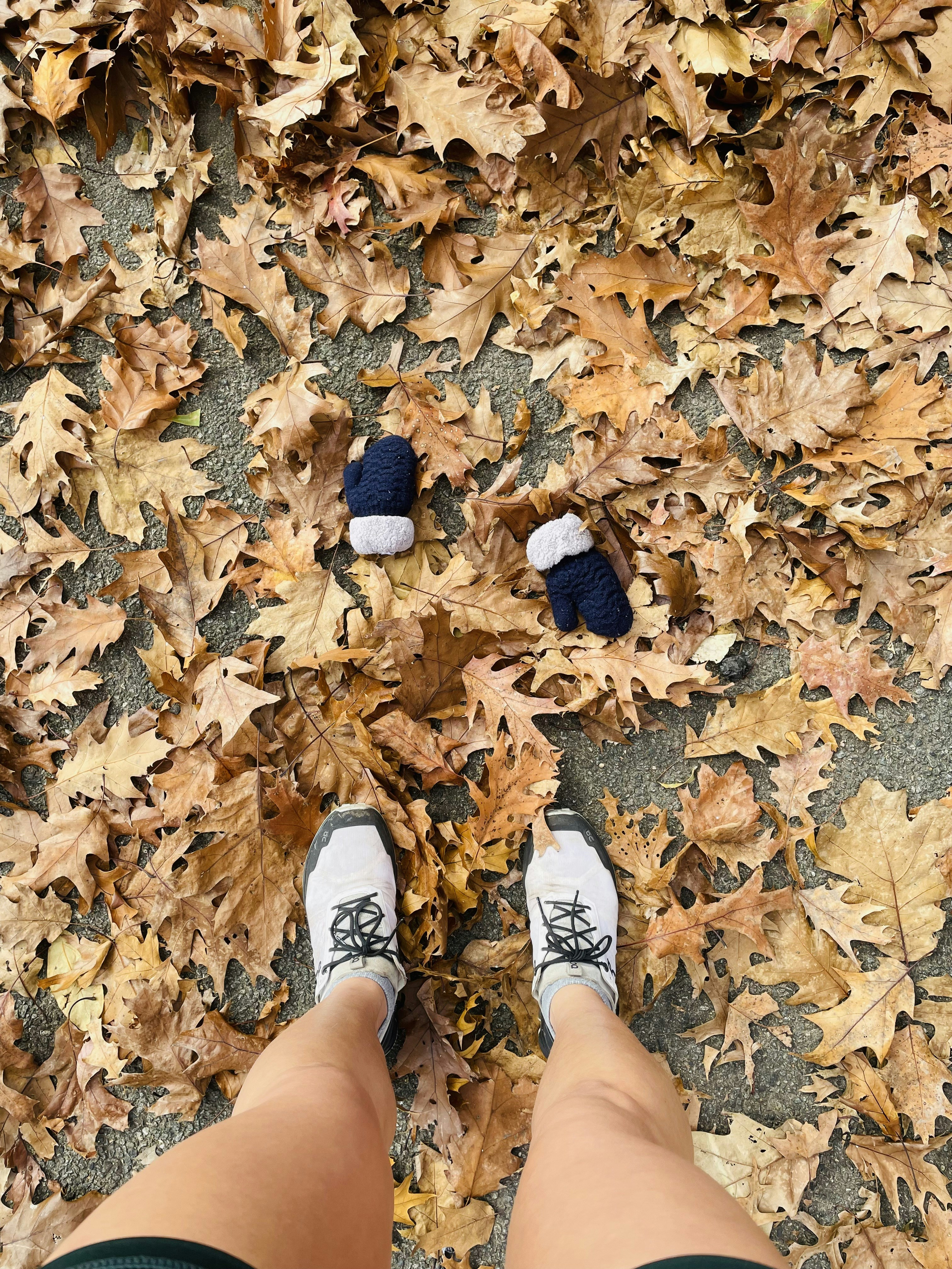 Photo by waterooster