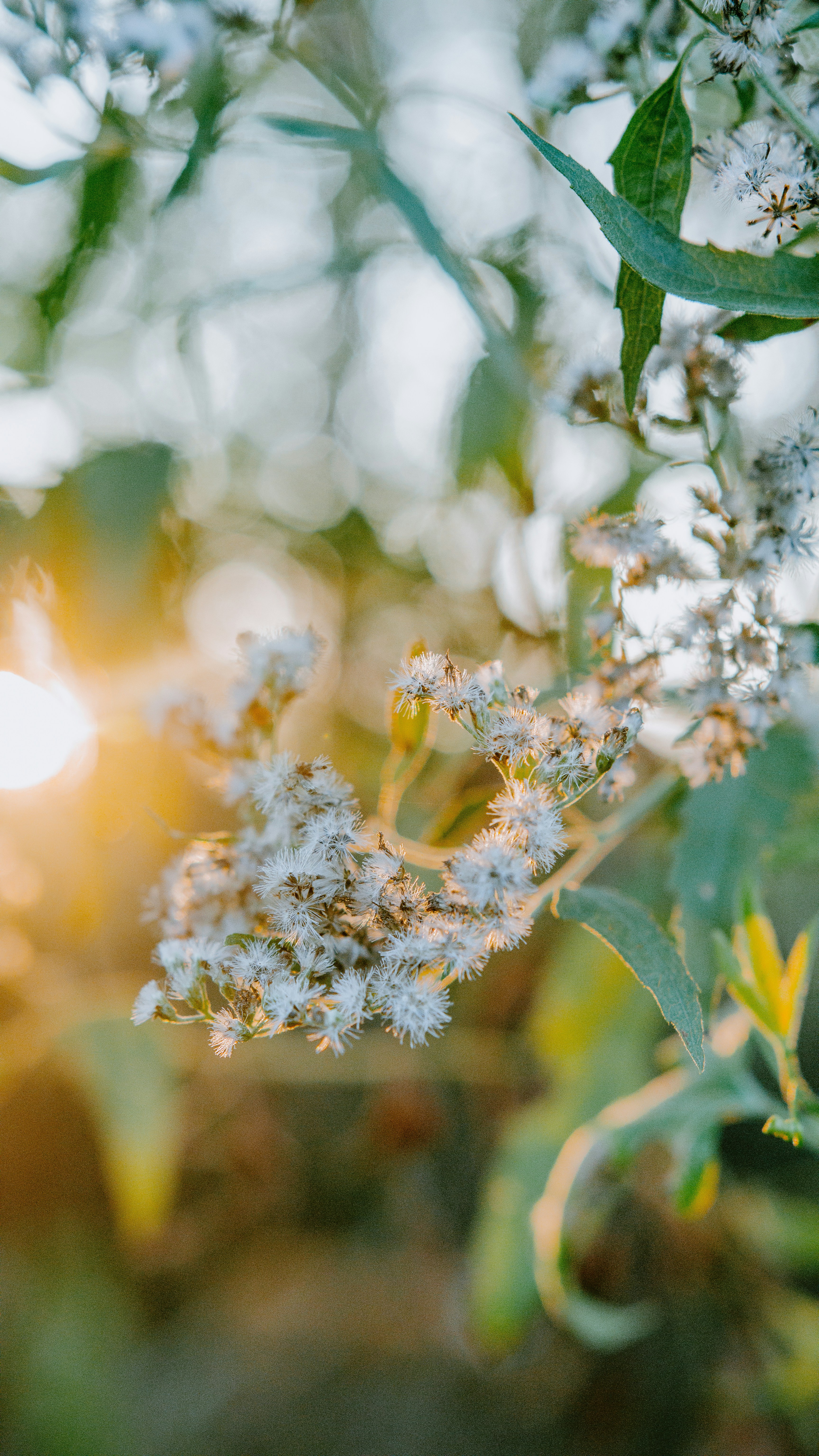 Photo by joseph_royer