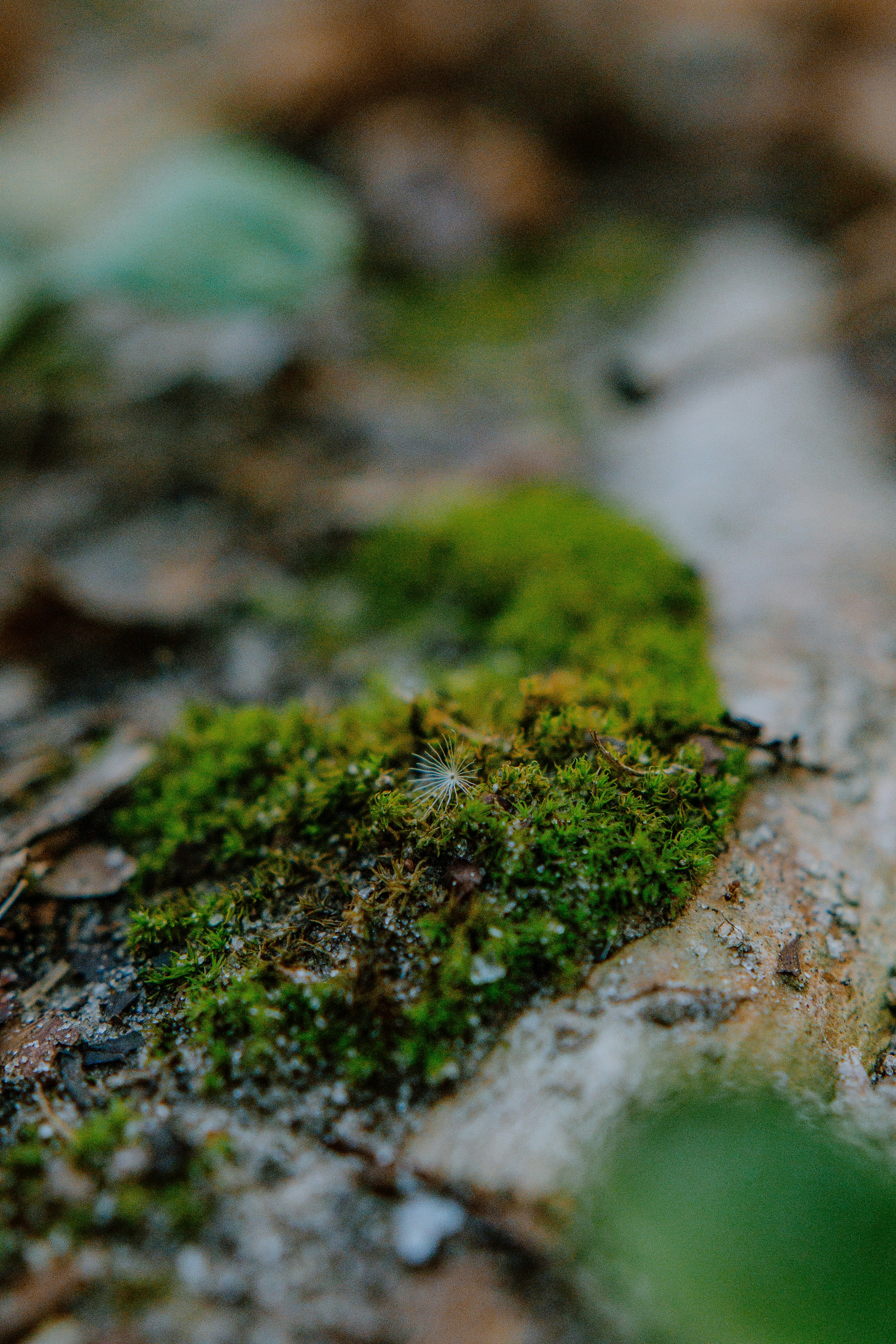 Photo by joseph_royer