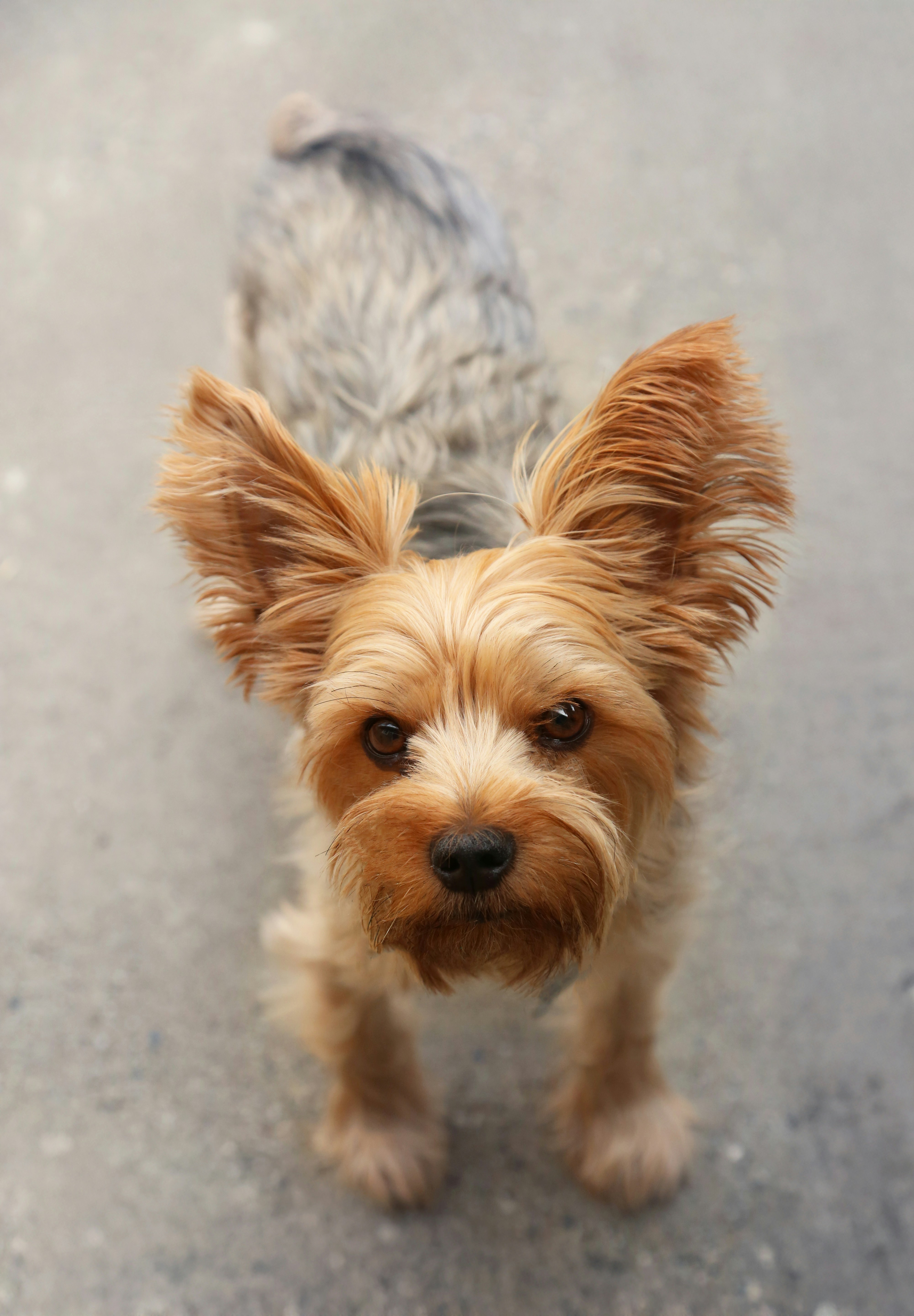 Photo by giorgiotrovato