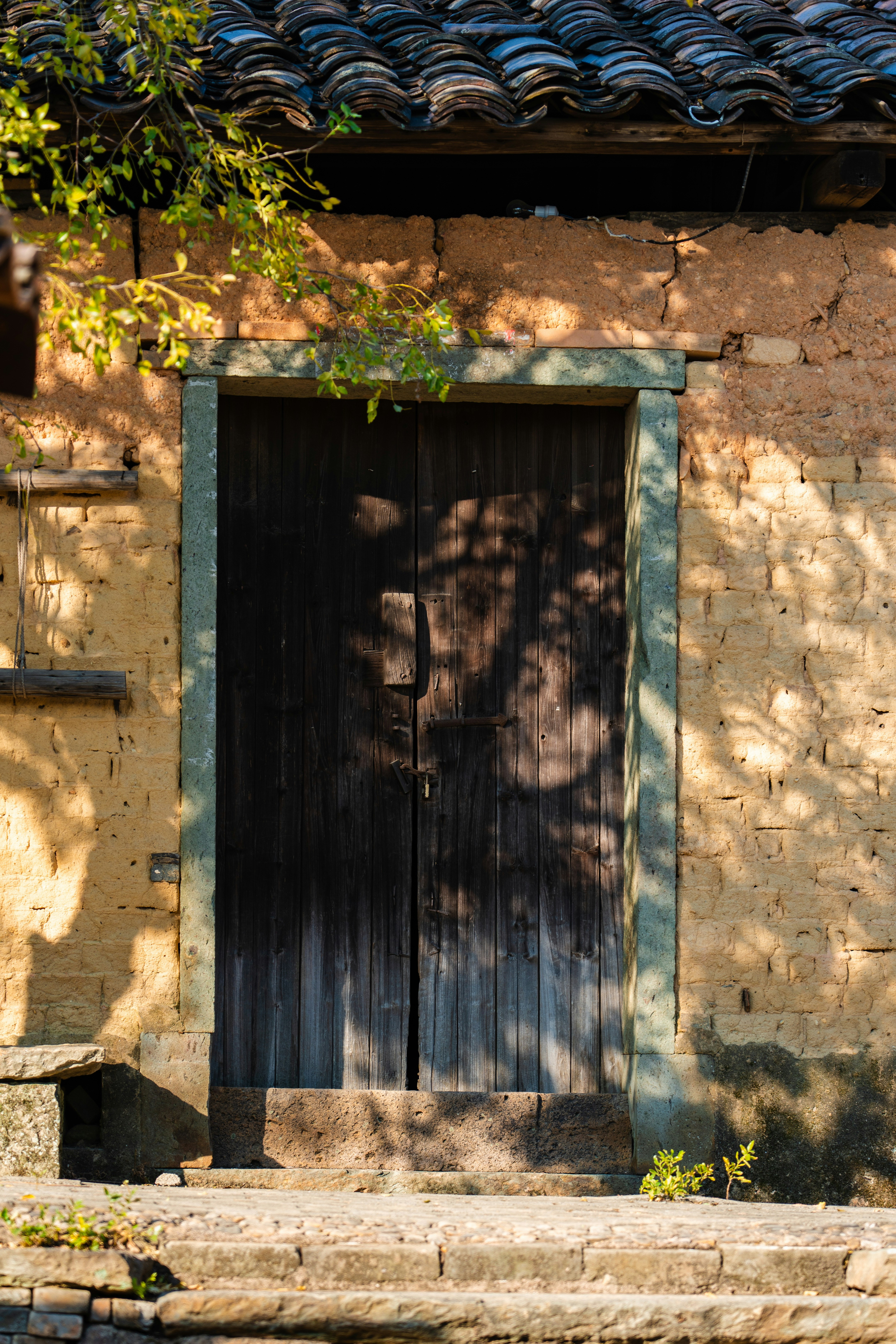 Photo by lizheng_design