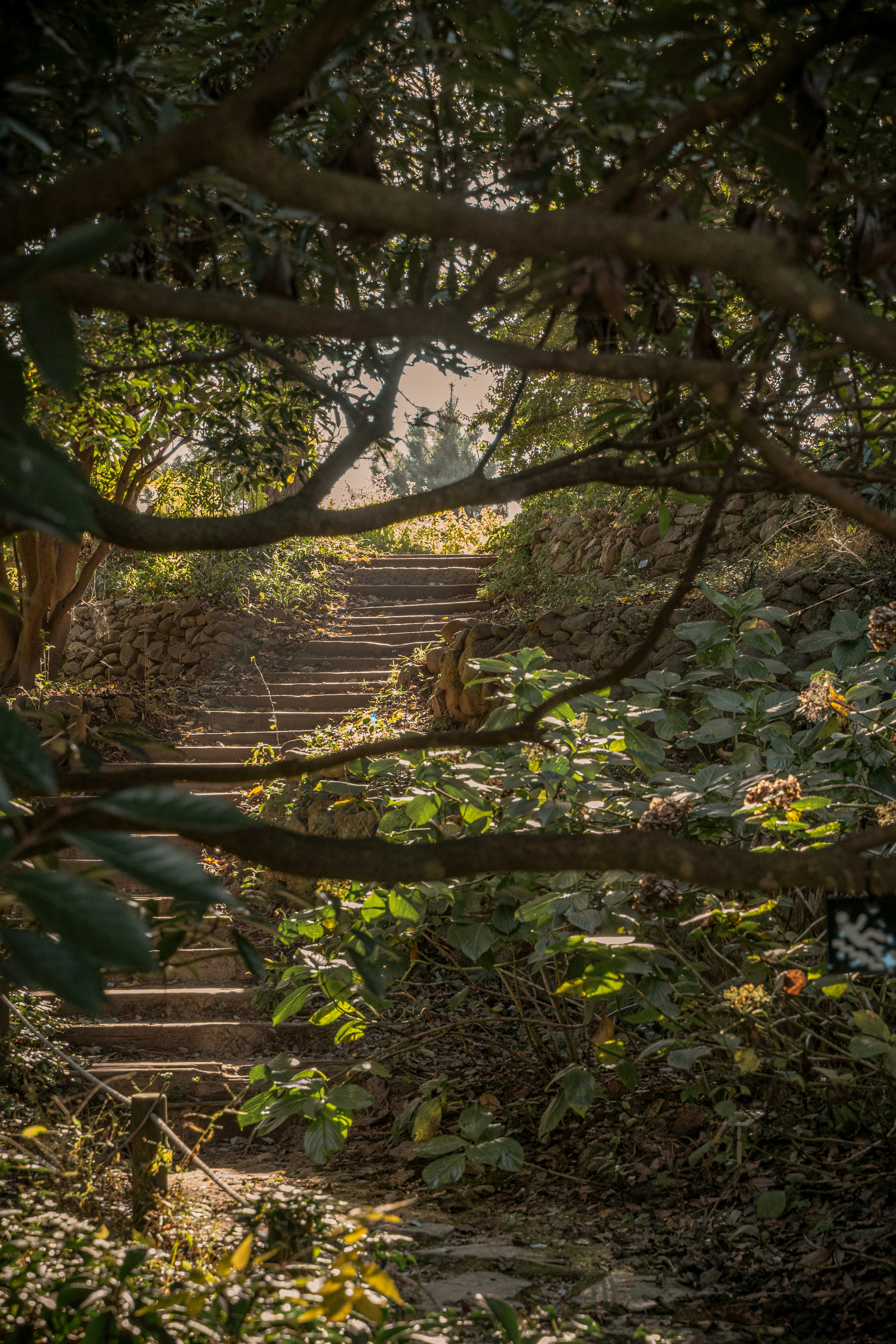 Photo by superkimbob