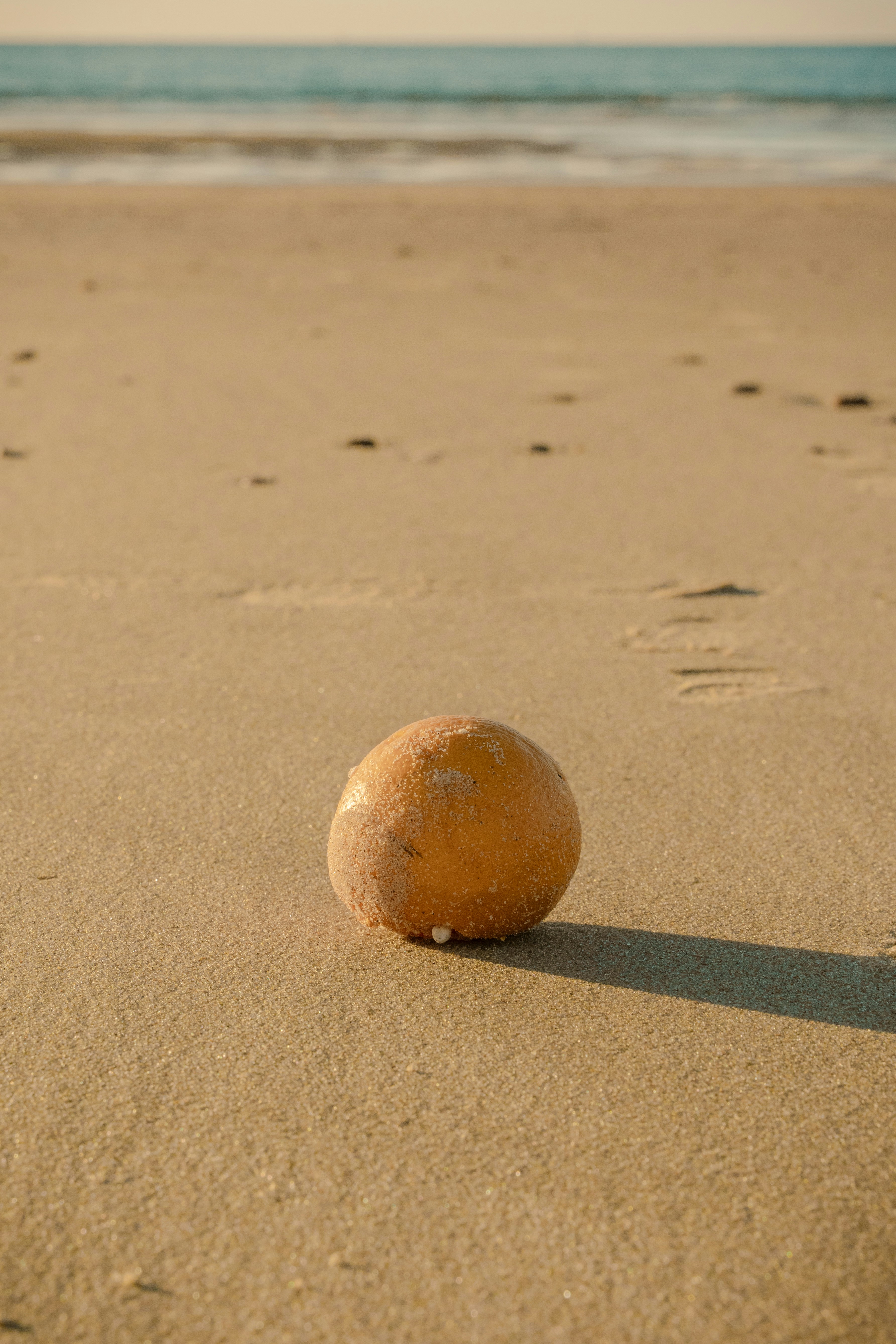 Photo by superkimbob