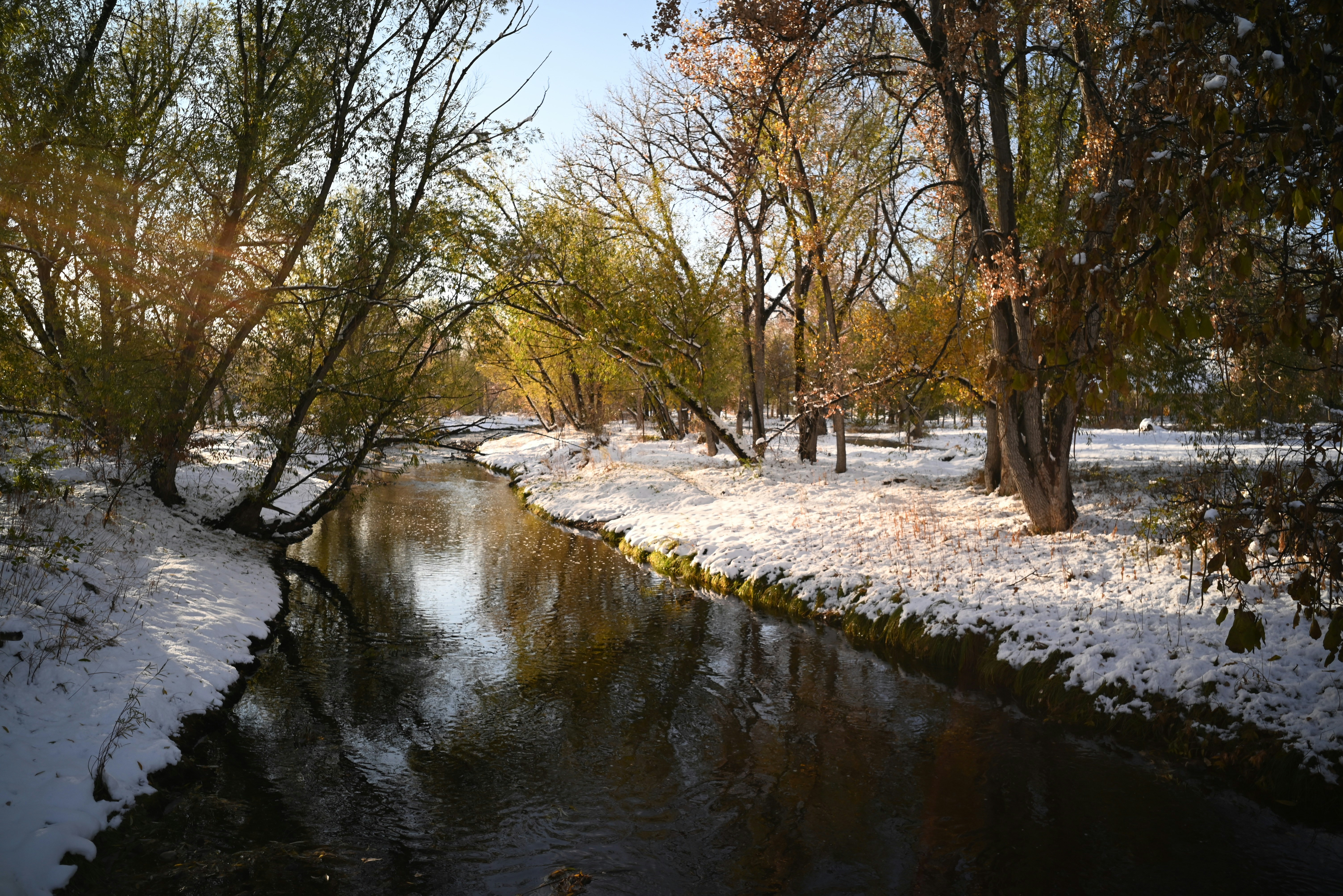 A small stream running through a snow covered forest