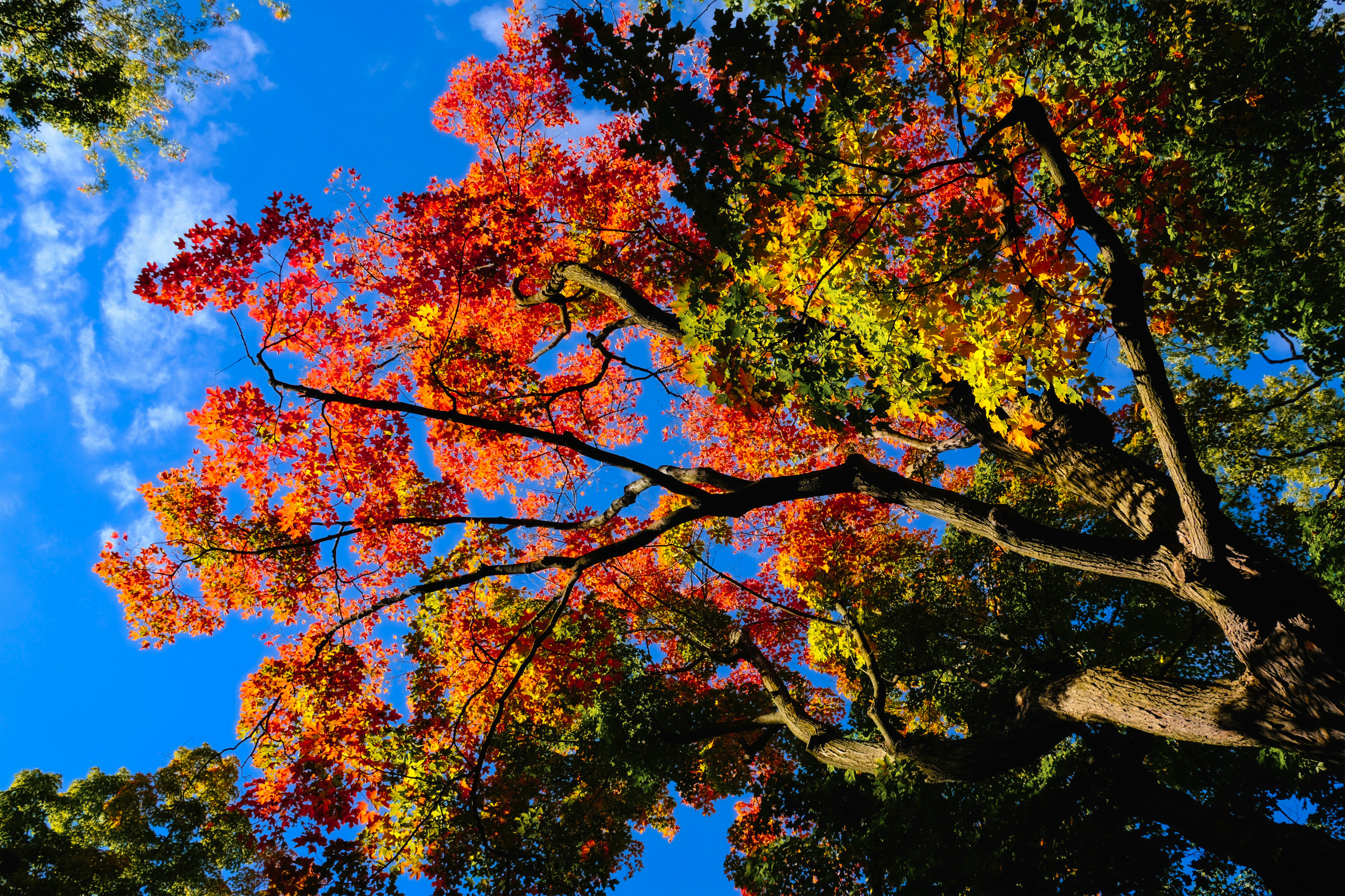 Monday's FTB: The good news and the bad news