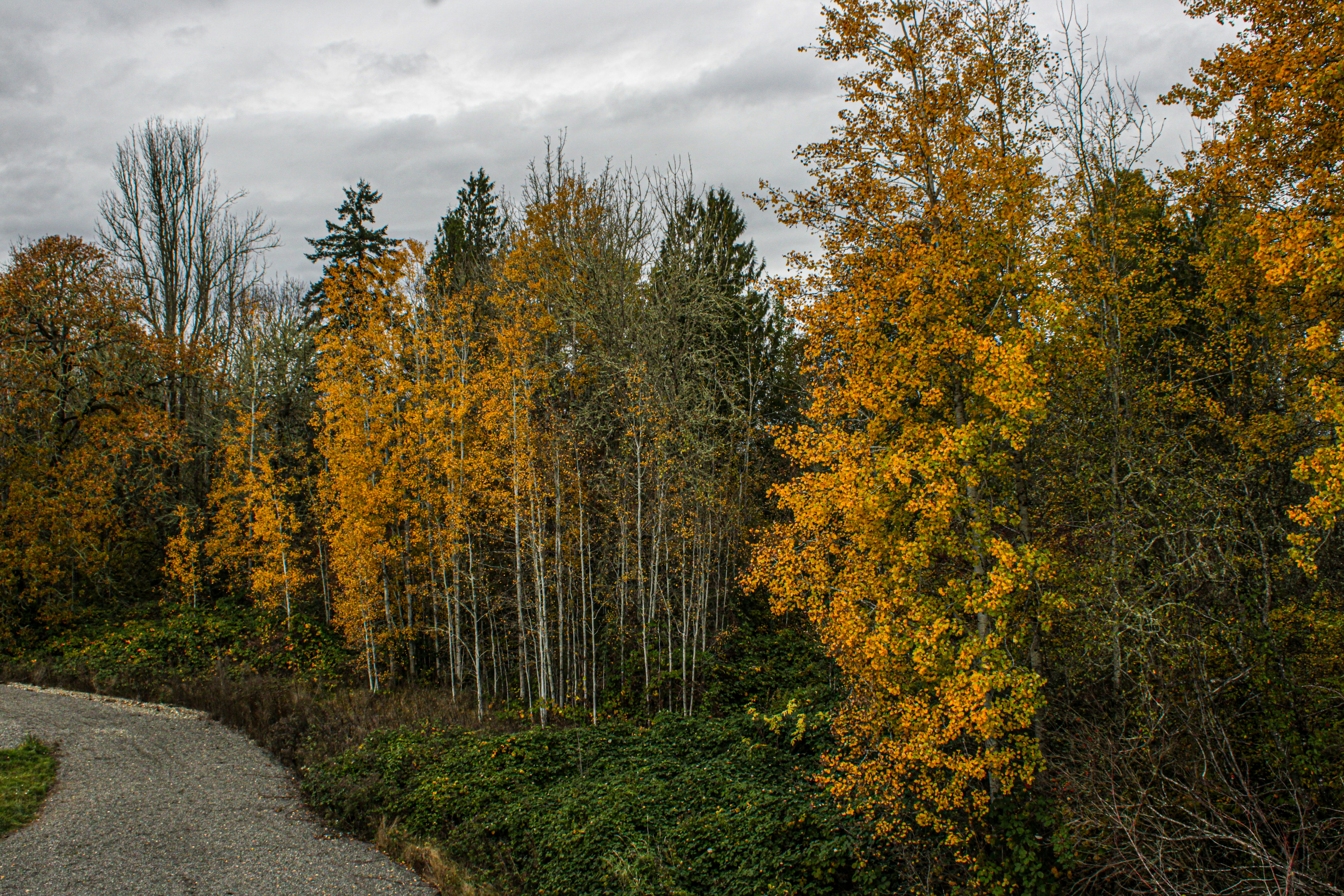 Photo by prphotography262