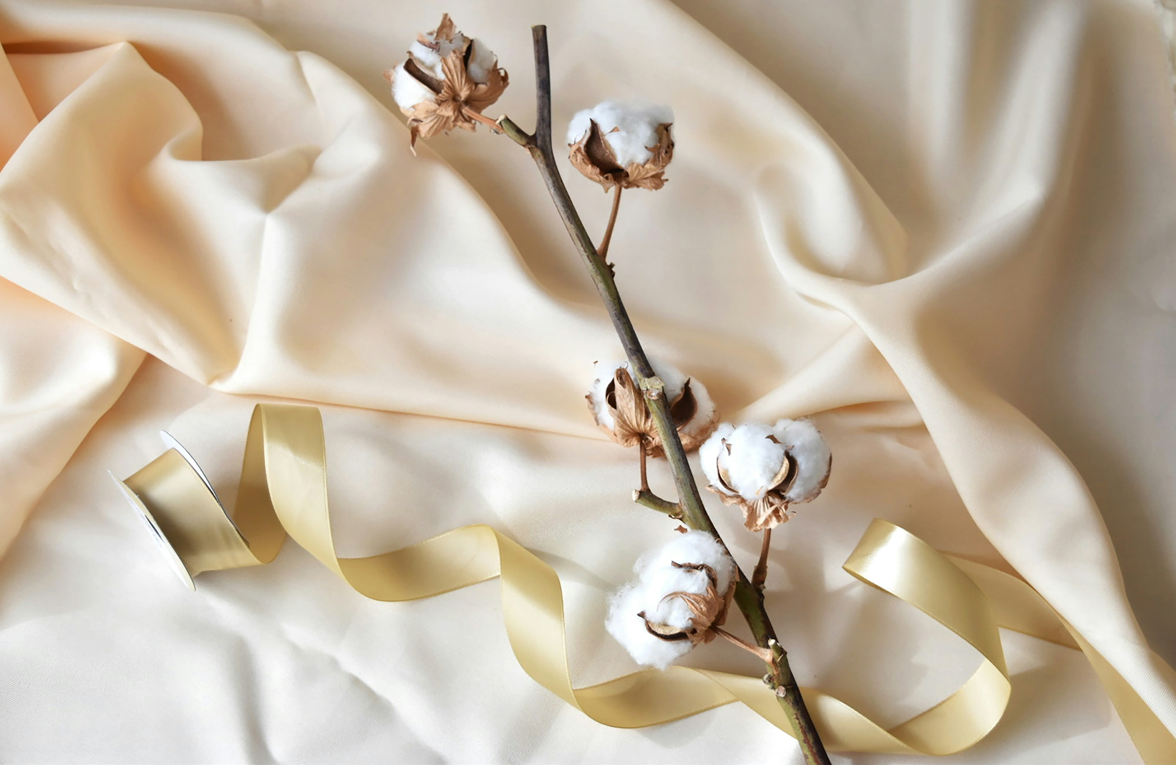 Photo by reika_mimosaday