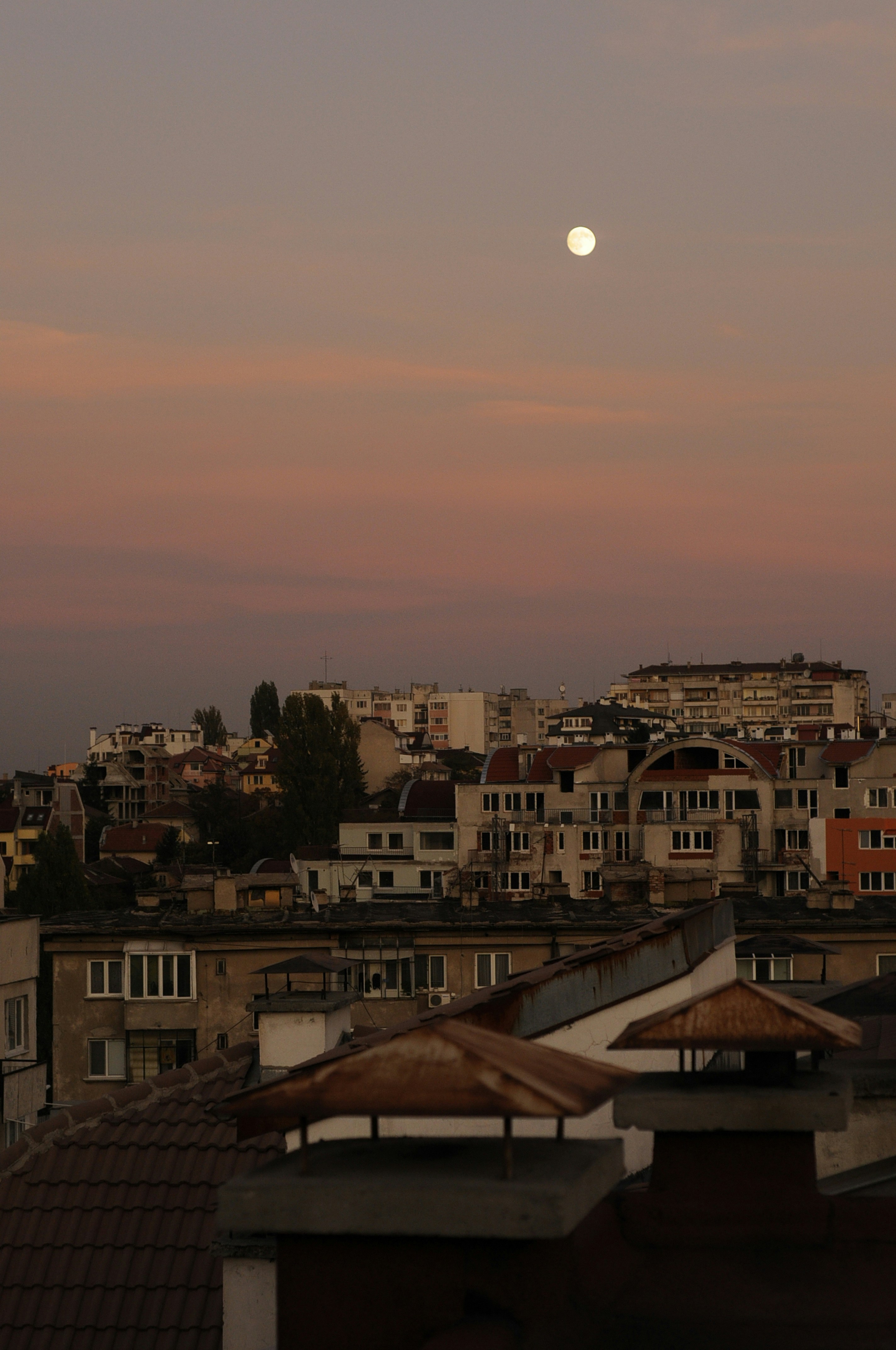 Traditional Bulgarian Pubs and Mehana: Authentic Mountain Hospitality