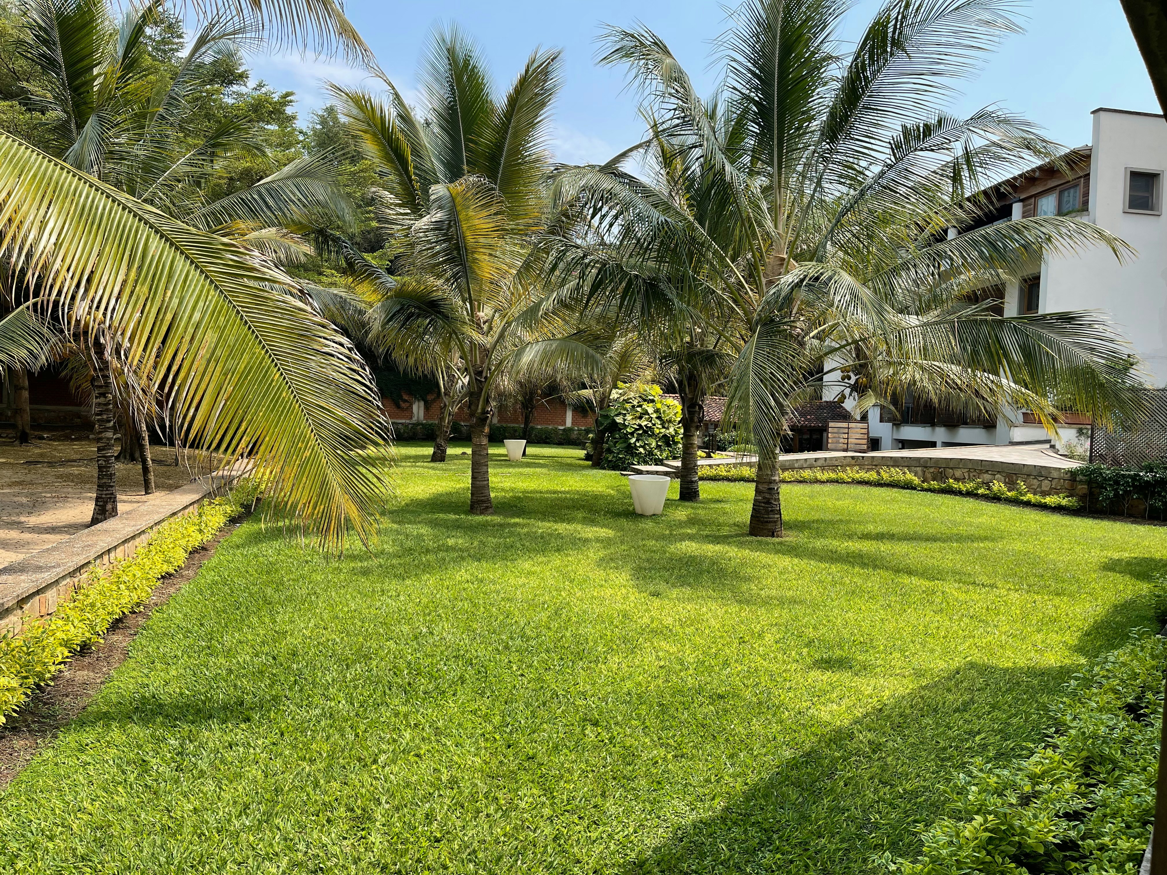 Photo by elleshemeza