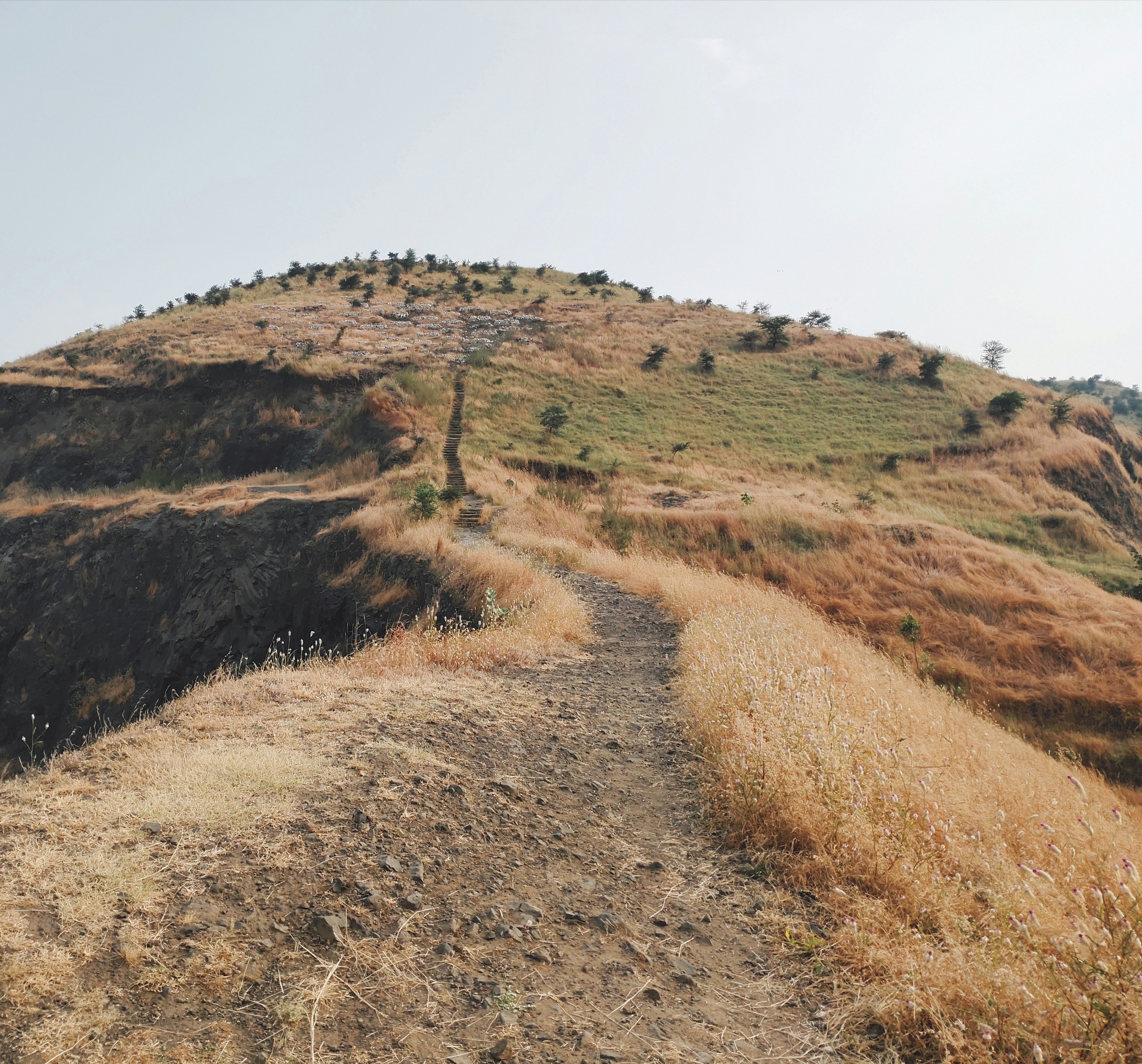 Photo by ankitmalviya9174