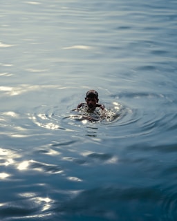 A person swimming in a body of water