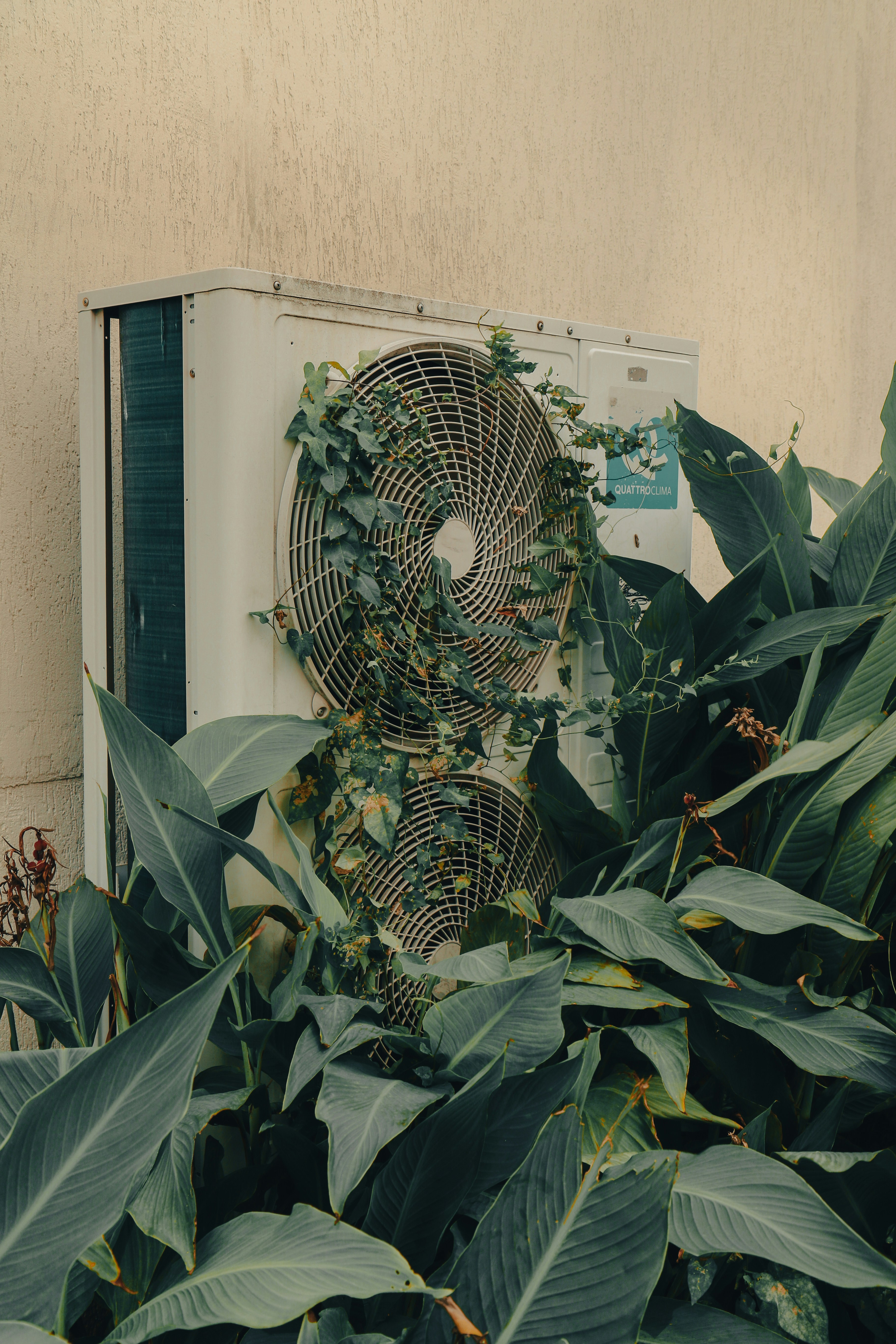 Alternative text for describing the image displayed