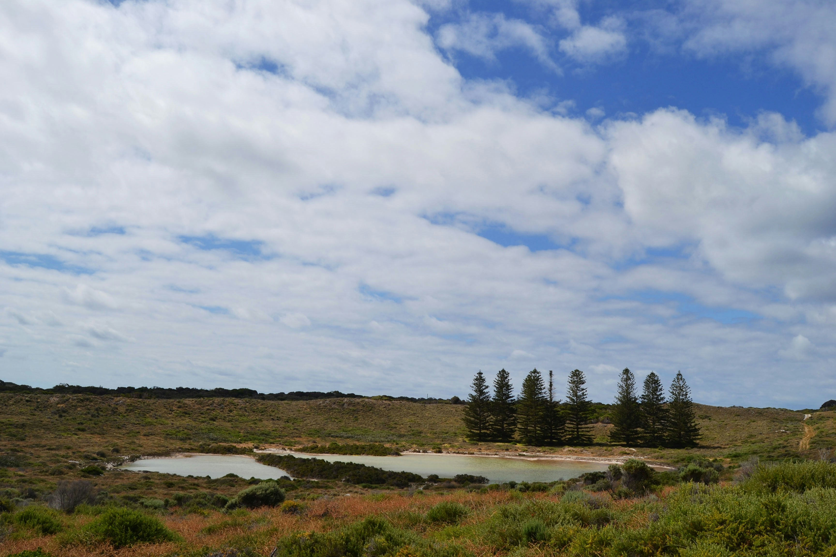 Photo by francesca_riverso