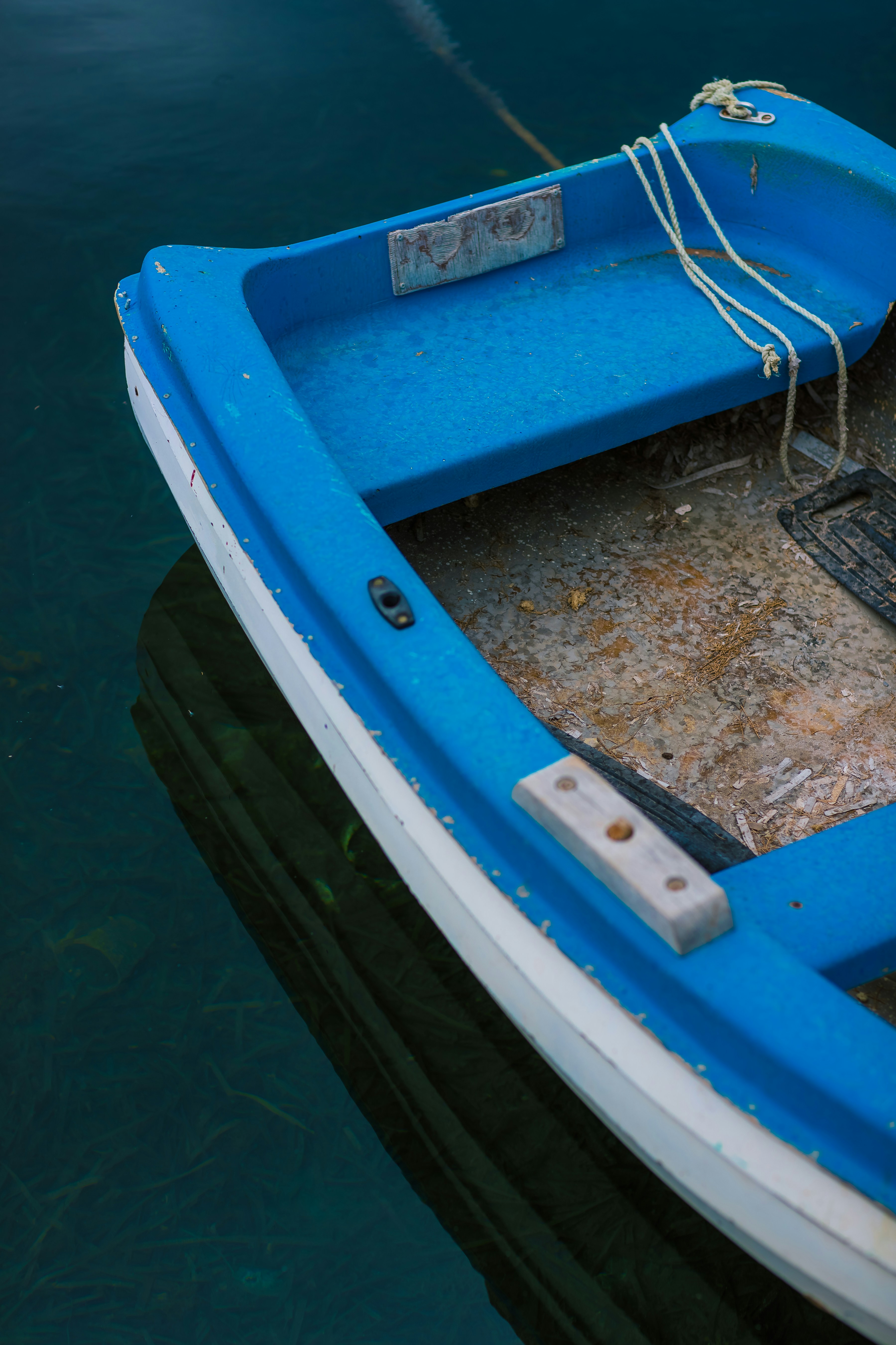 Photo by sylvesteraswin