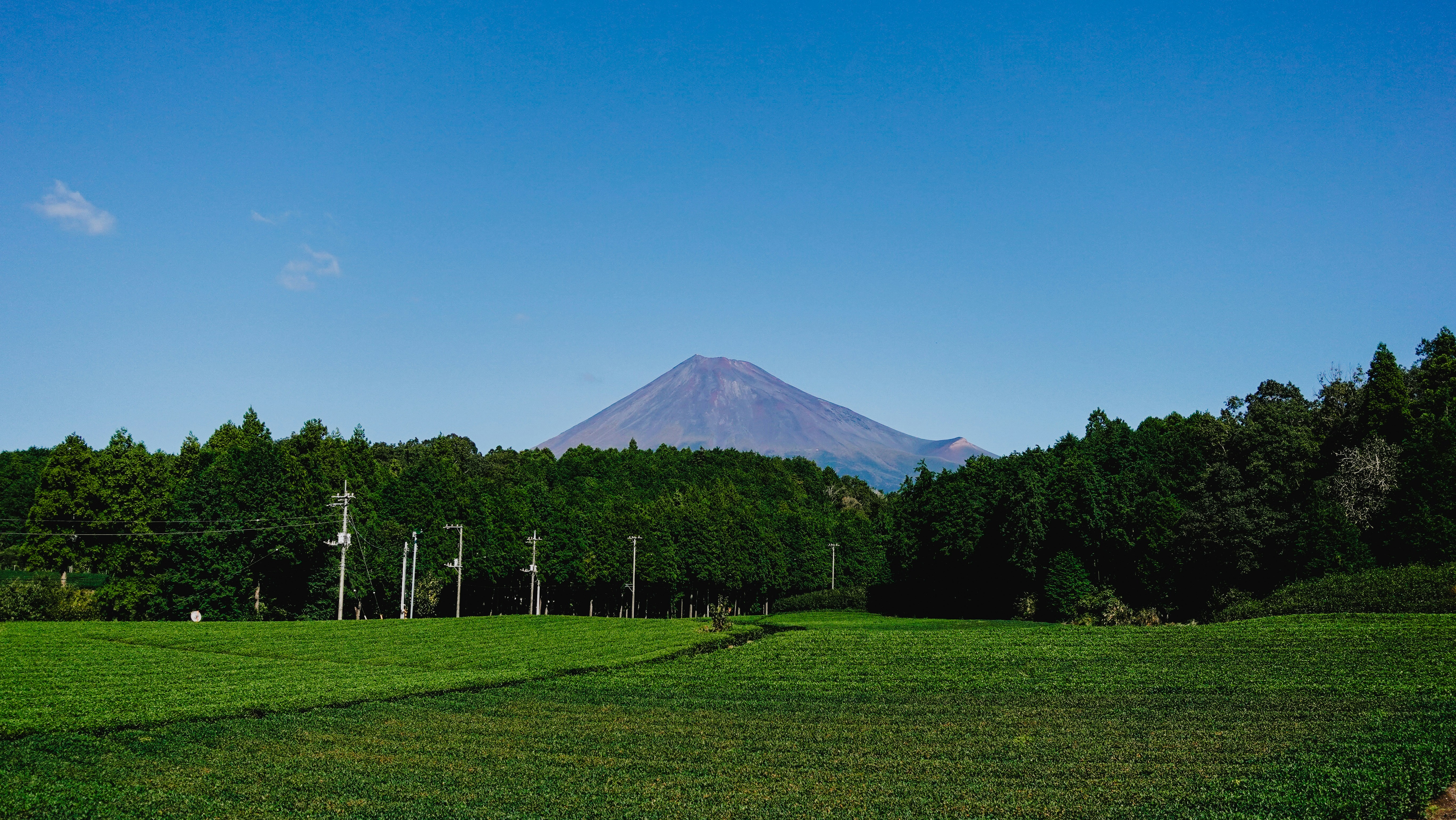 A green field with a mountain in the background