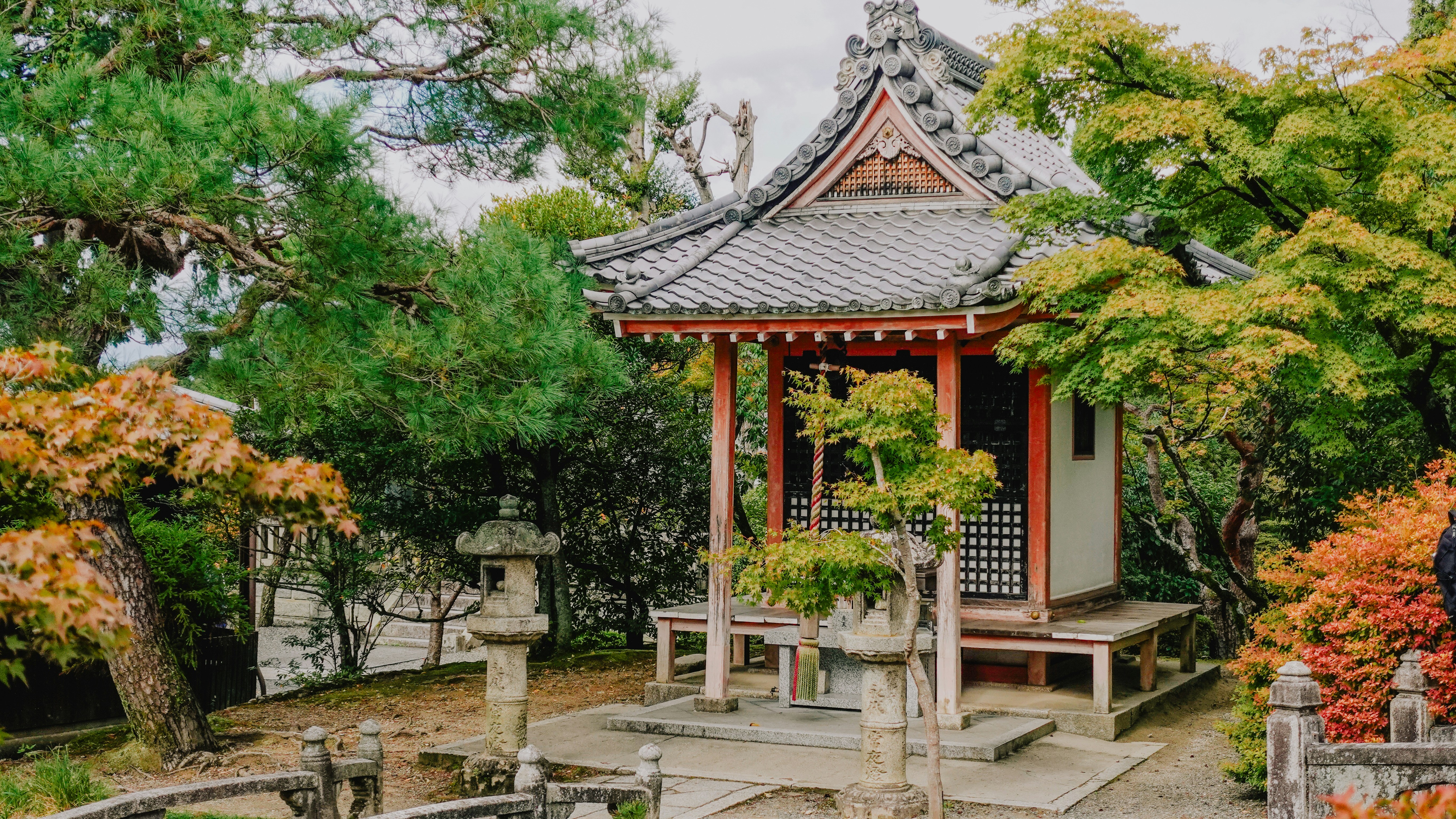 Photo by taylaktictac