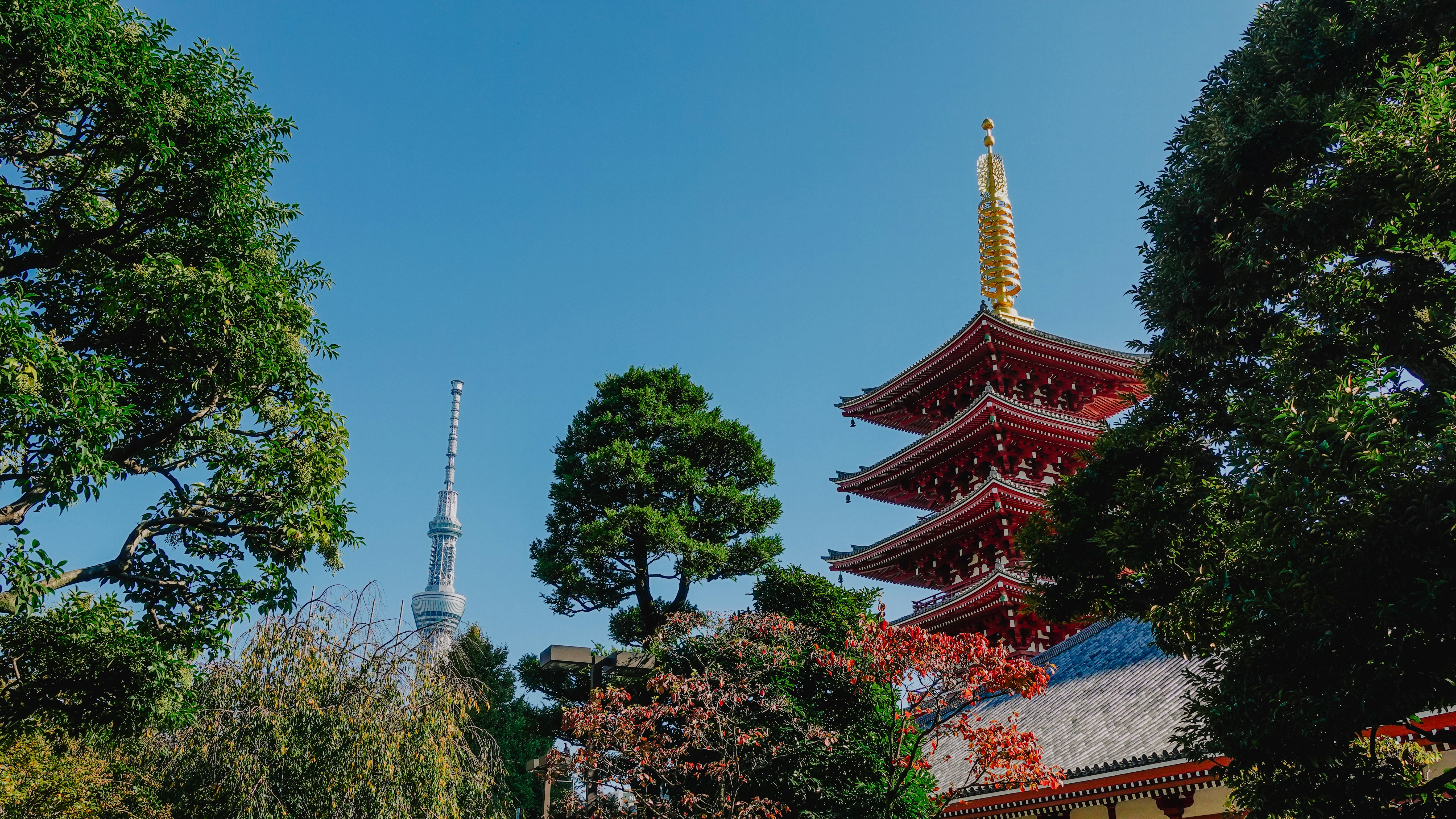 Photo by taylaktictac