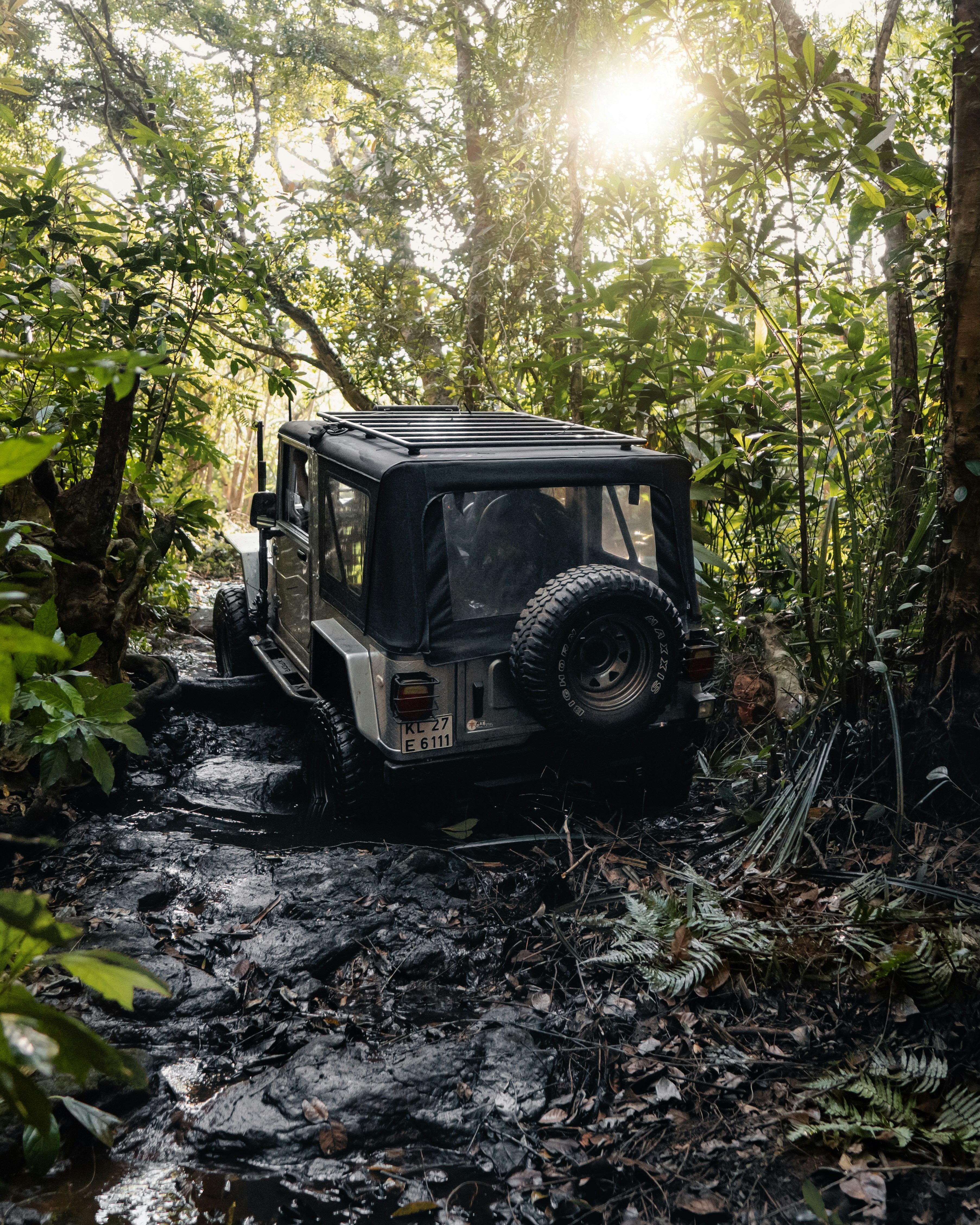 A jeep driving through a forest filled with trees