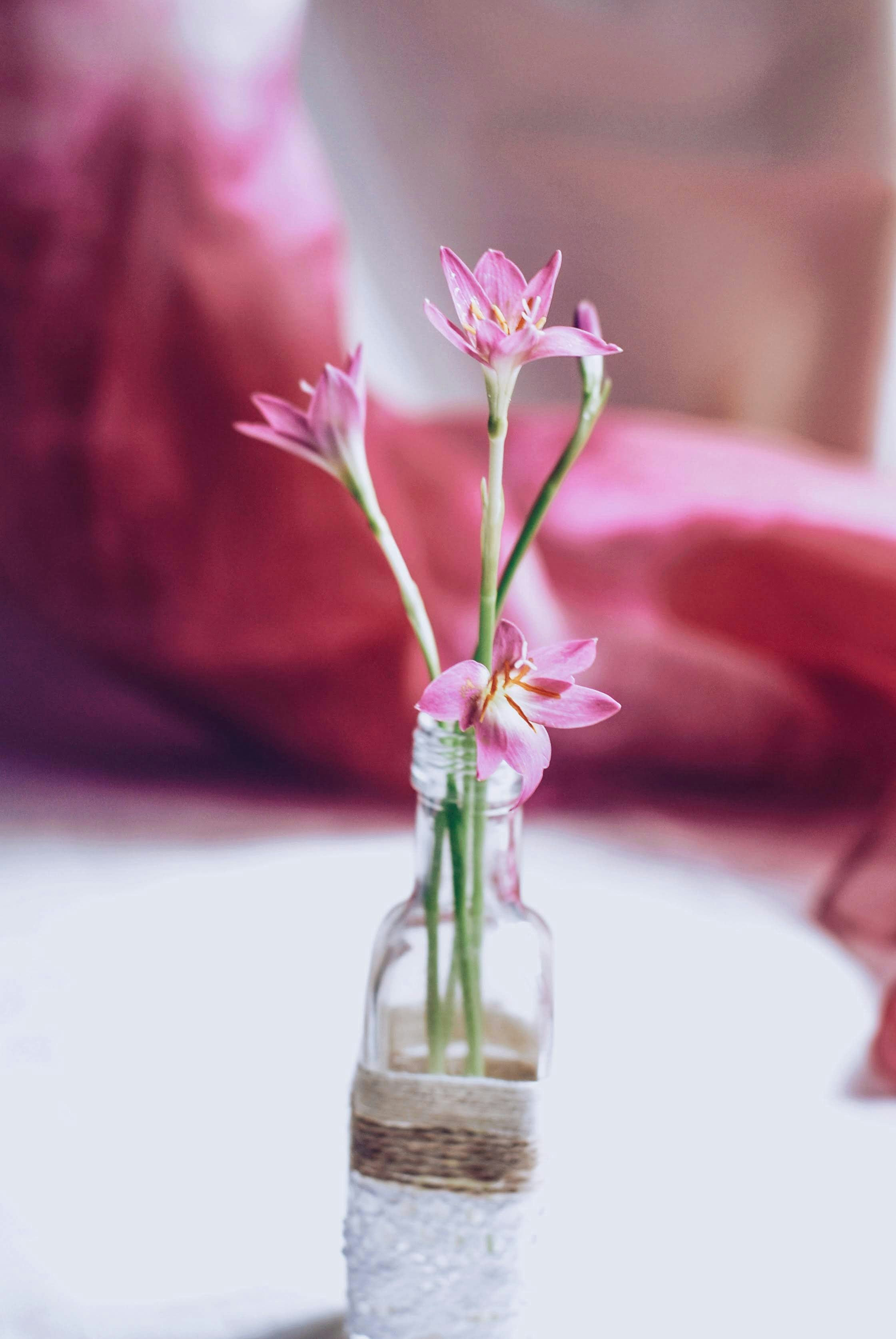 Photo by anindita_barma