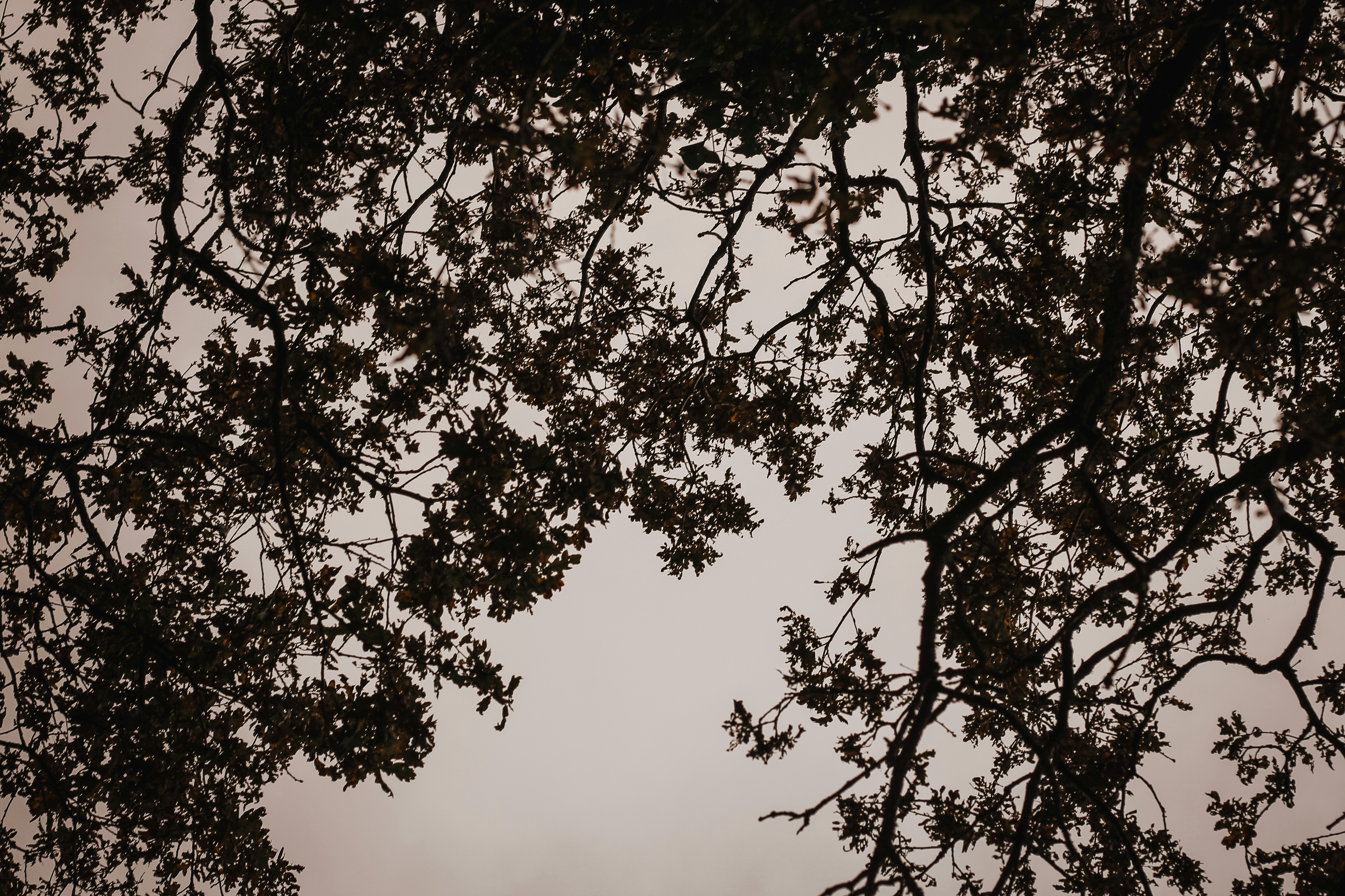 Photo by gingerbudgie