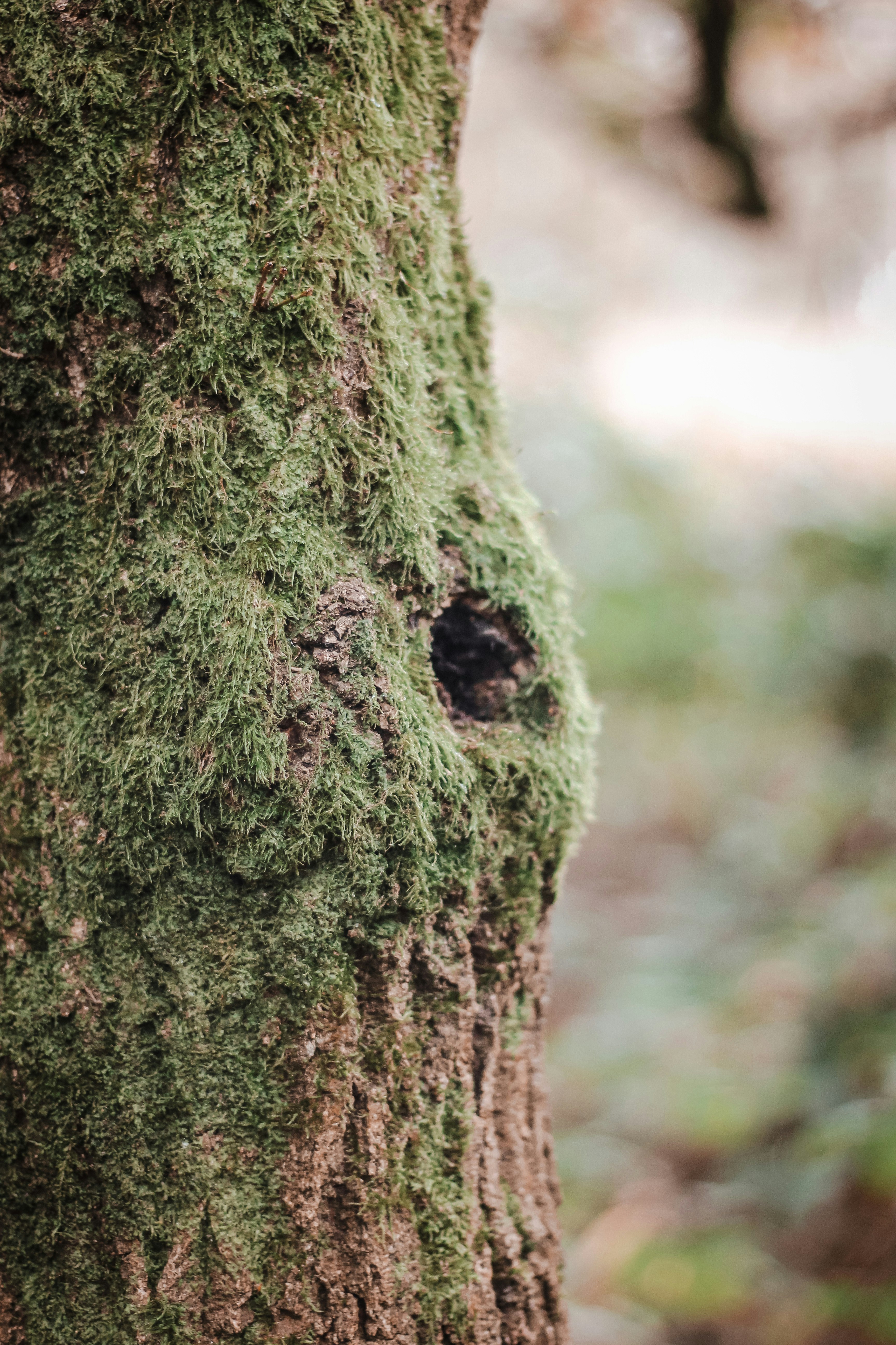 Photo by gingerbudgie