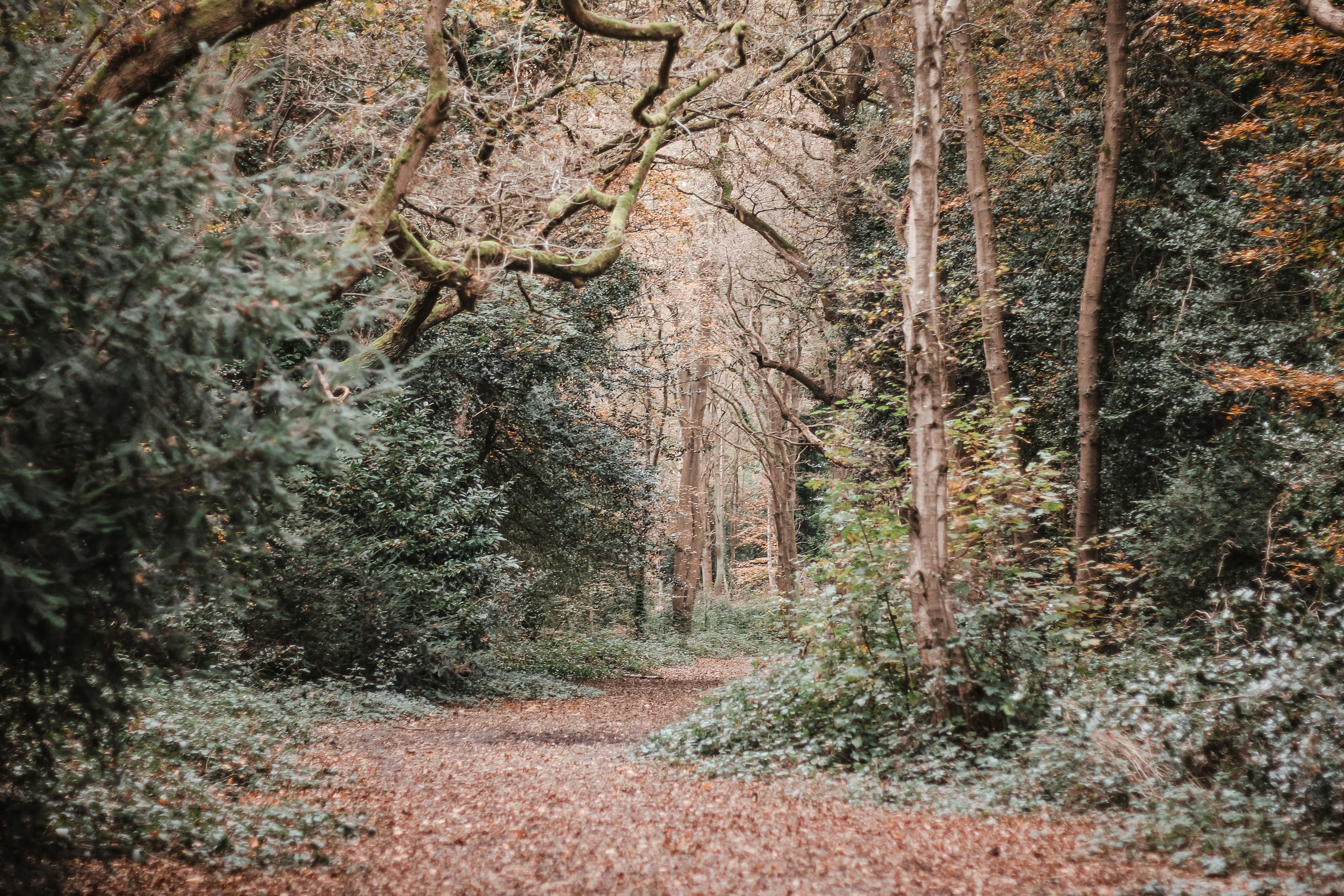 Photo by gingerbudgie