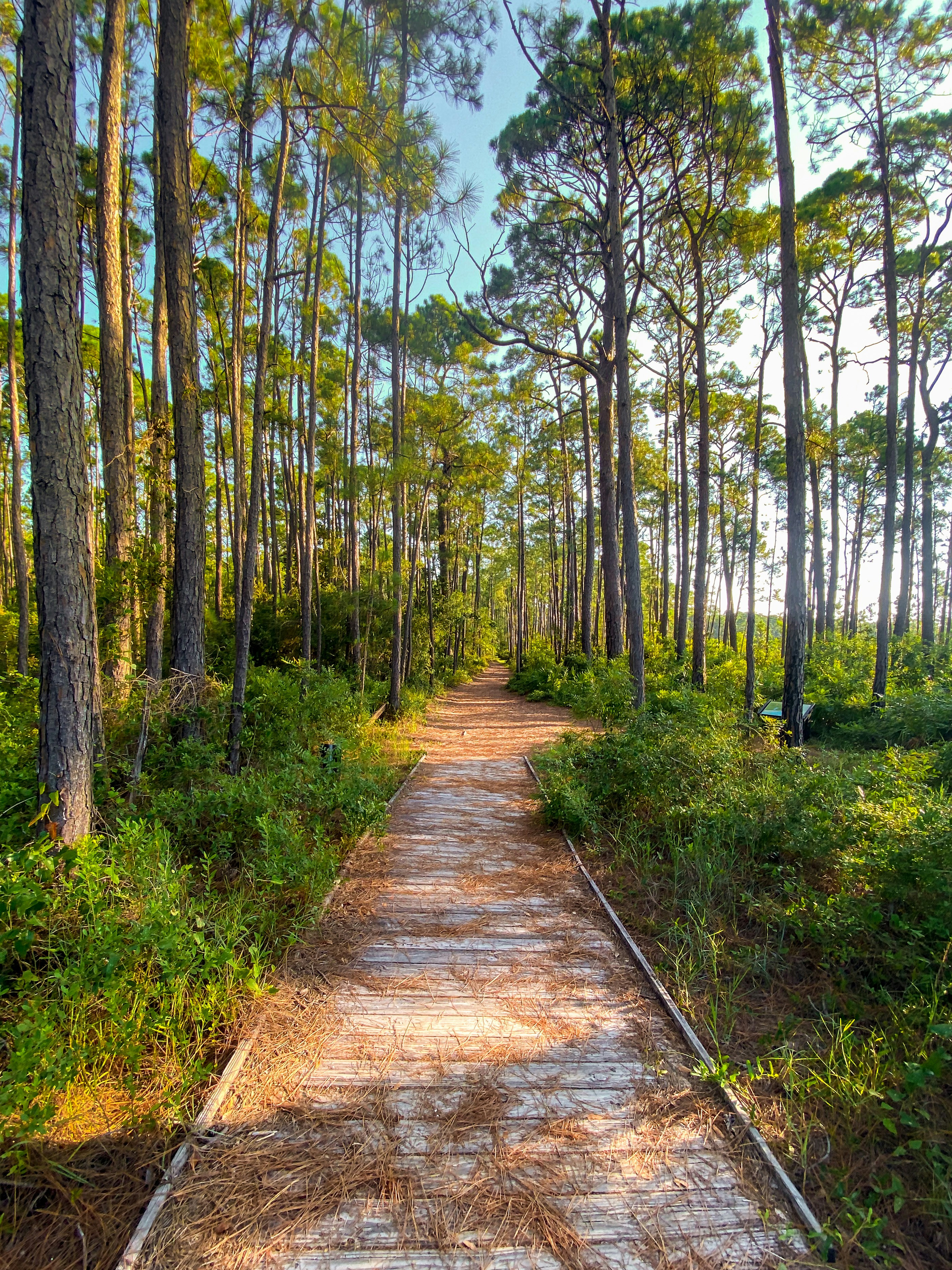 Photo by kalebeastphoto