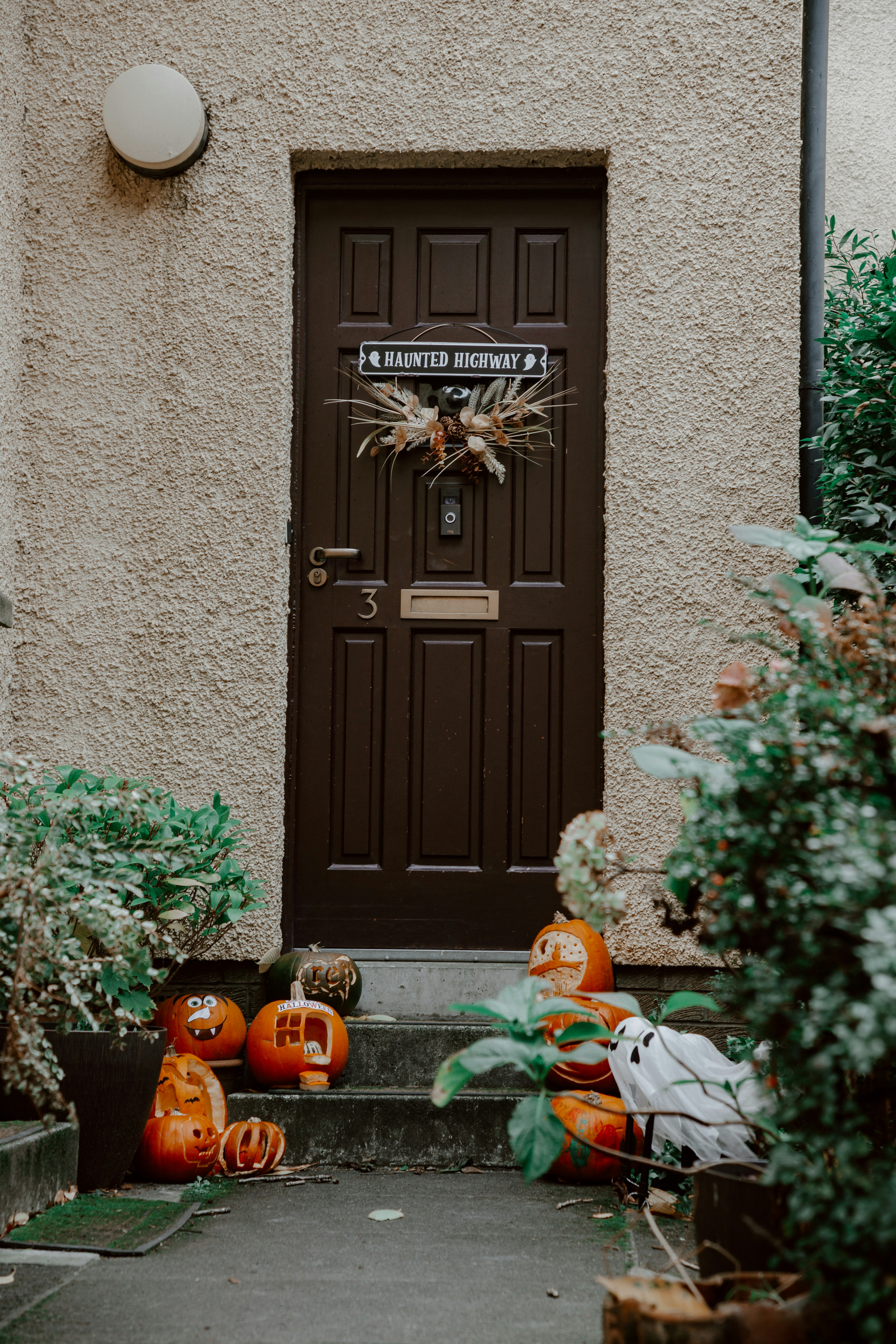 Photo by filizelaerts