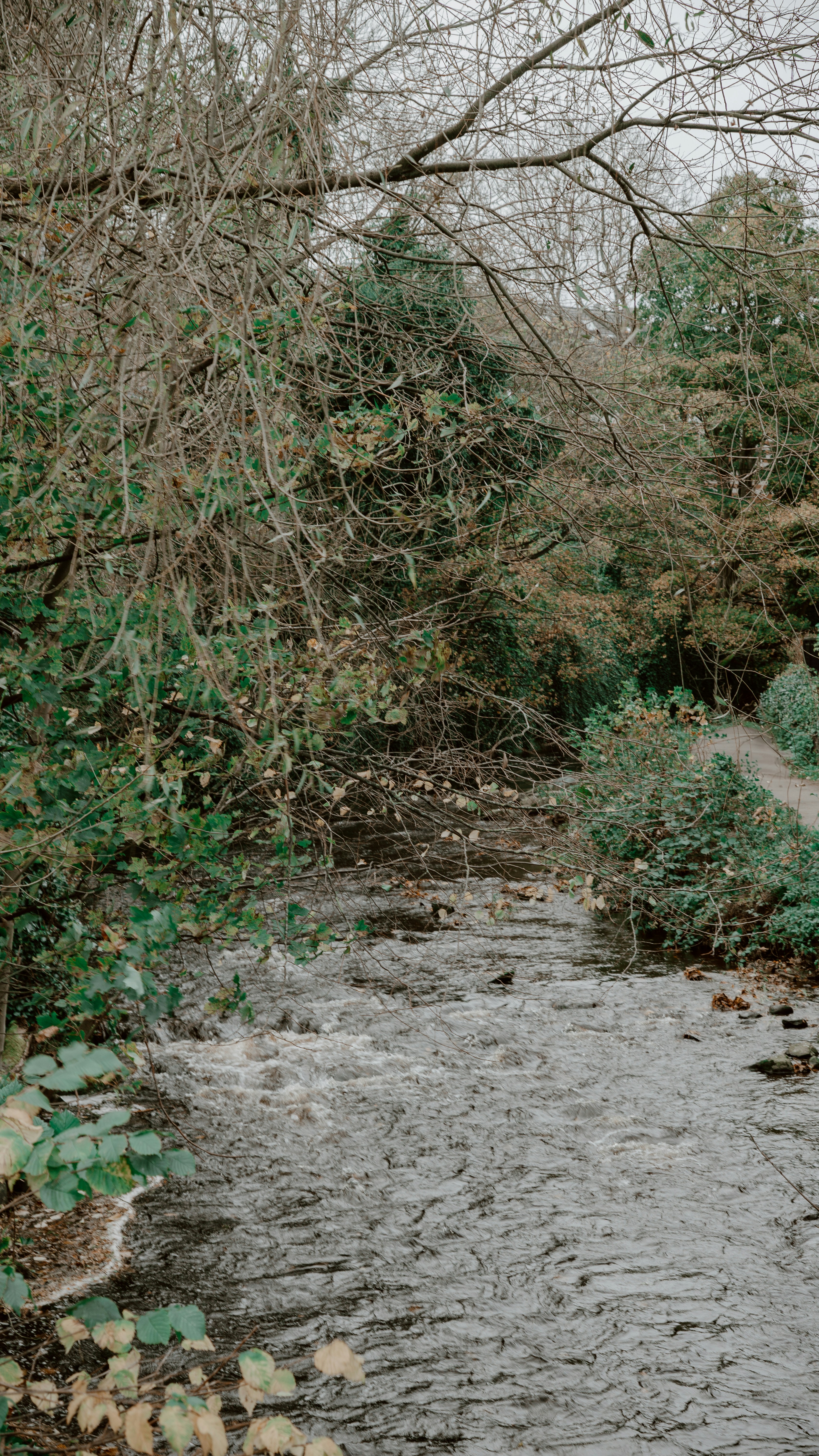 Photo by filizelaerts